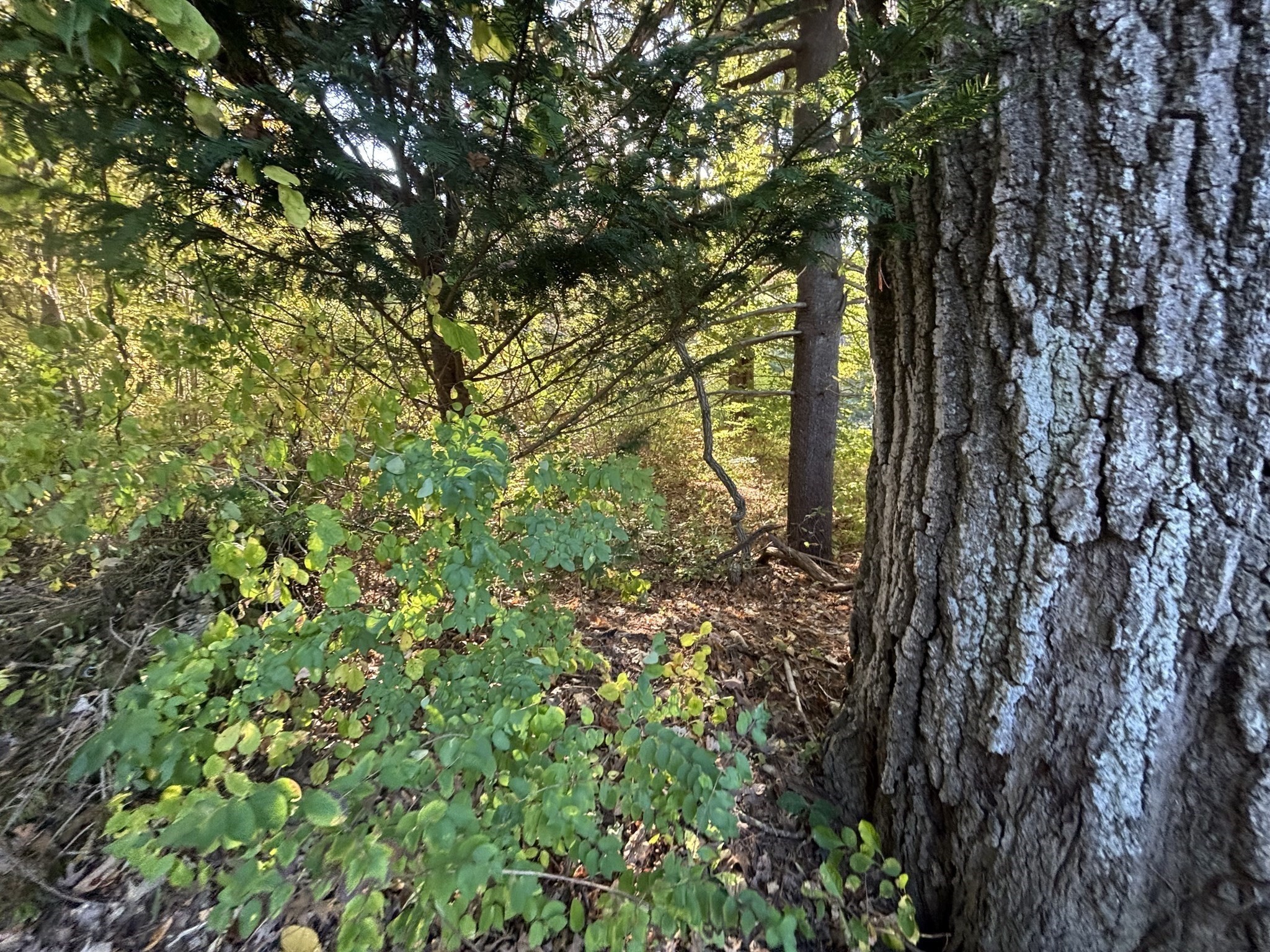 9 Howarth Rd, Oxford, MA 01540 - Image 21