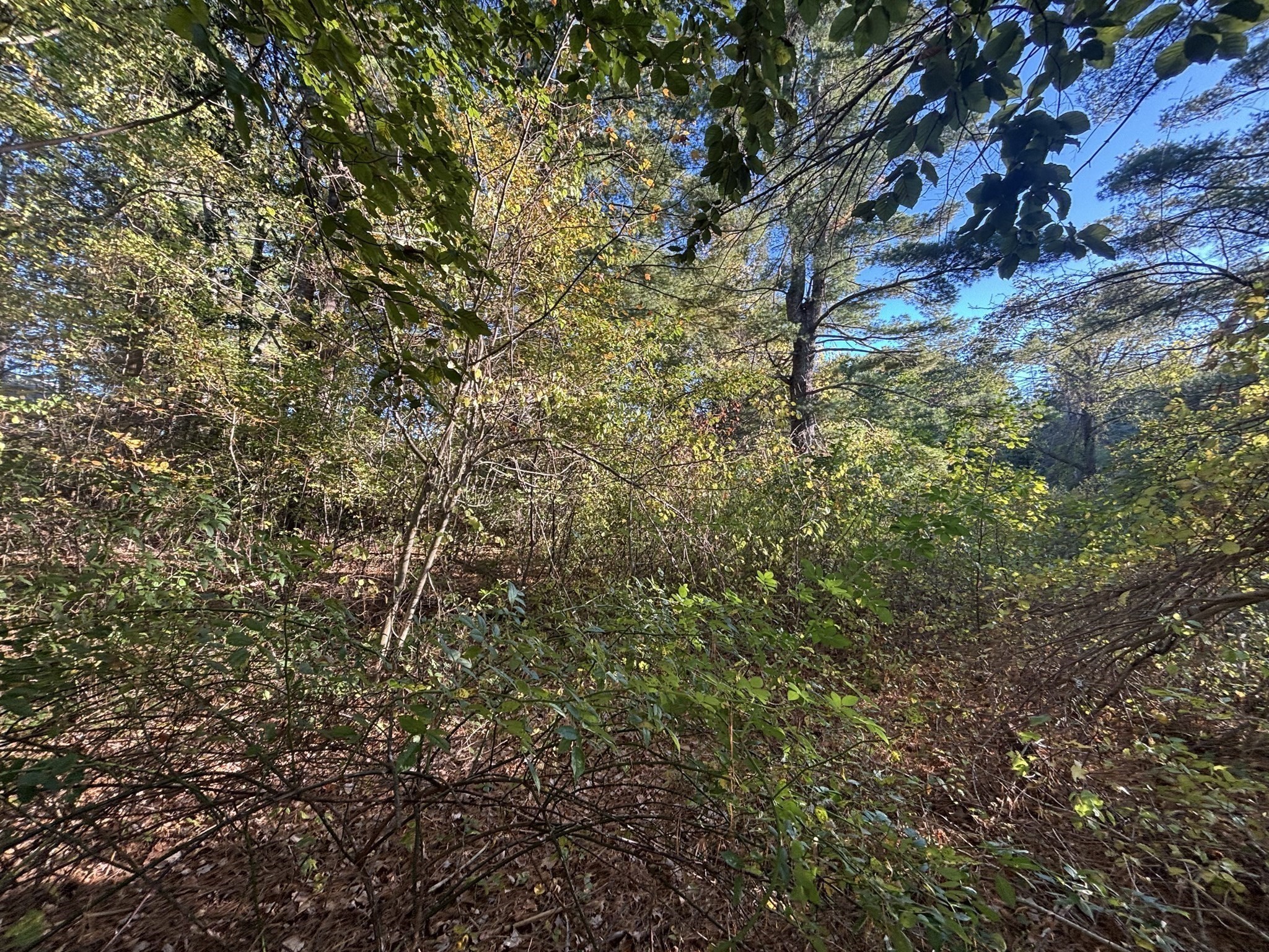 9 Howarth Rd, Oxford, MA 01540 - Image 22