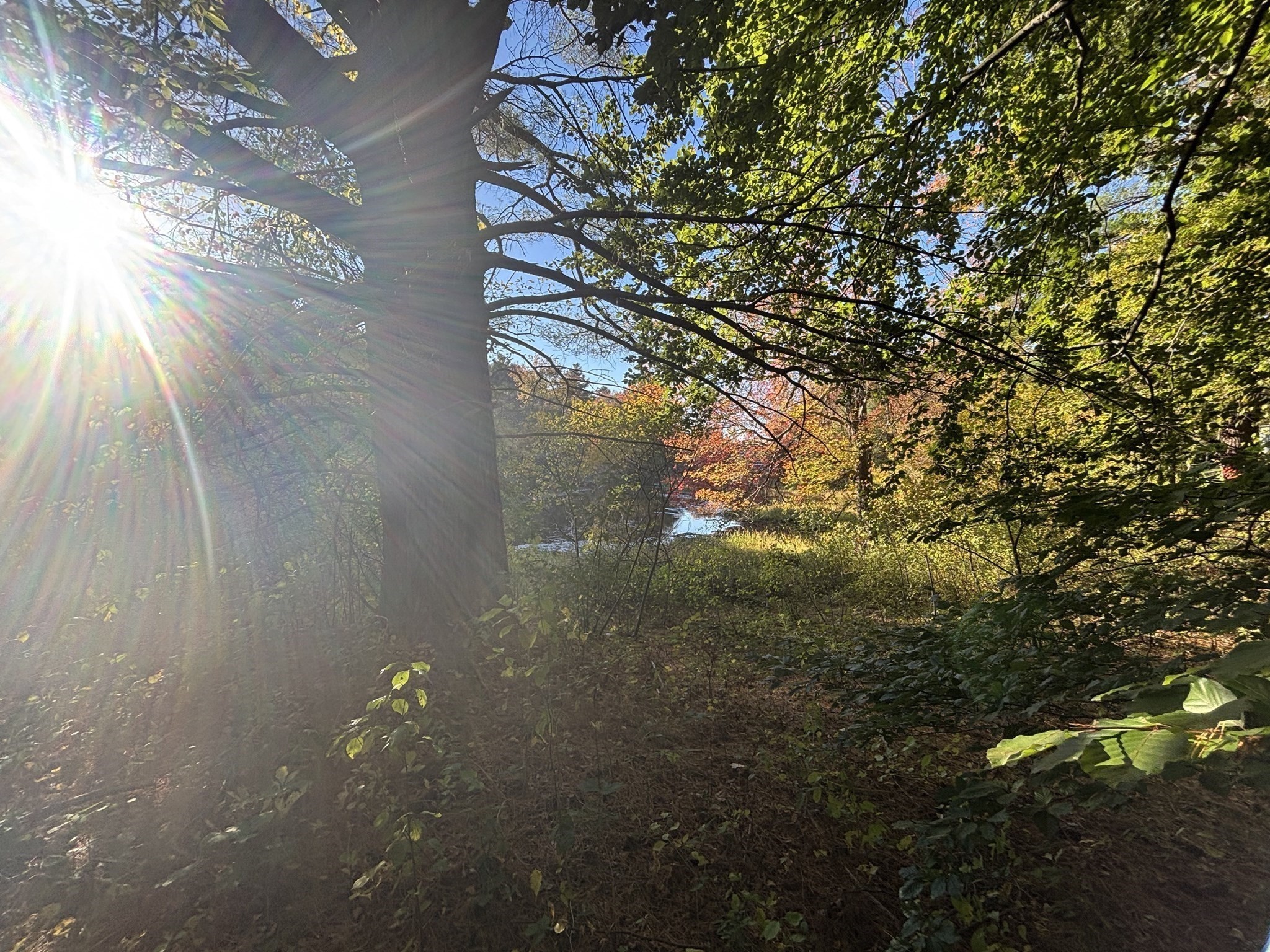 9 Howarth Rd, Oxford, MA 01540 - Image 23