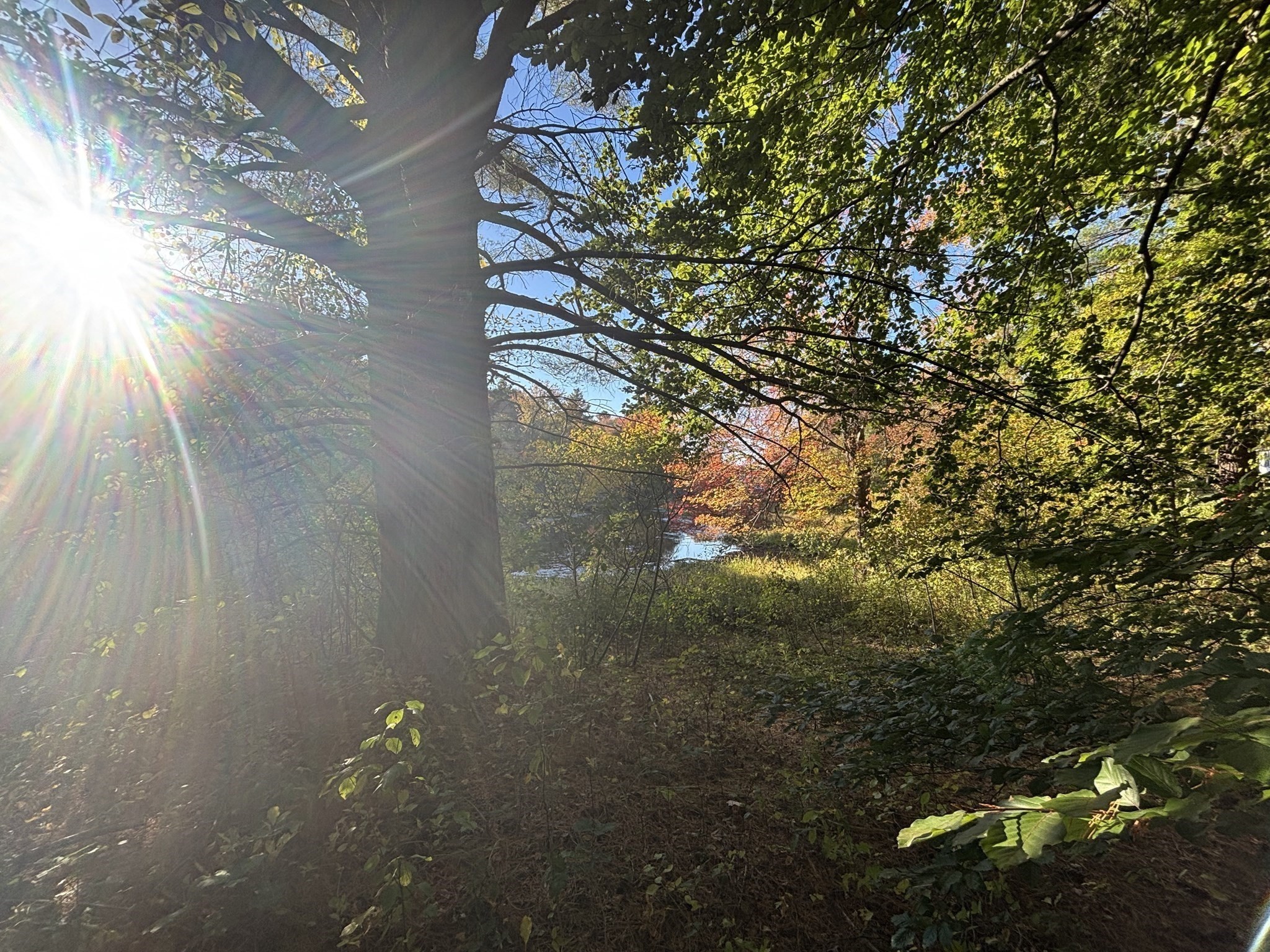 9 Howarth Rd, Oxford, MA 01540 - Image 24