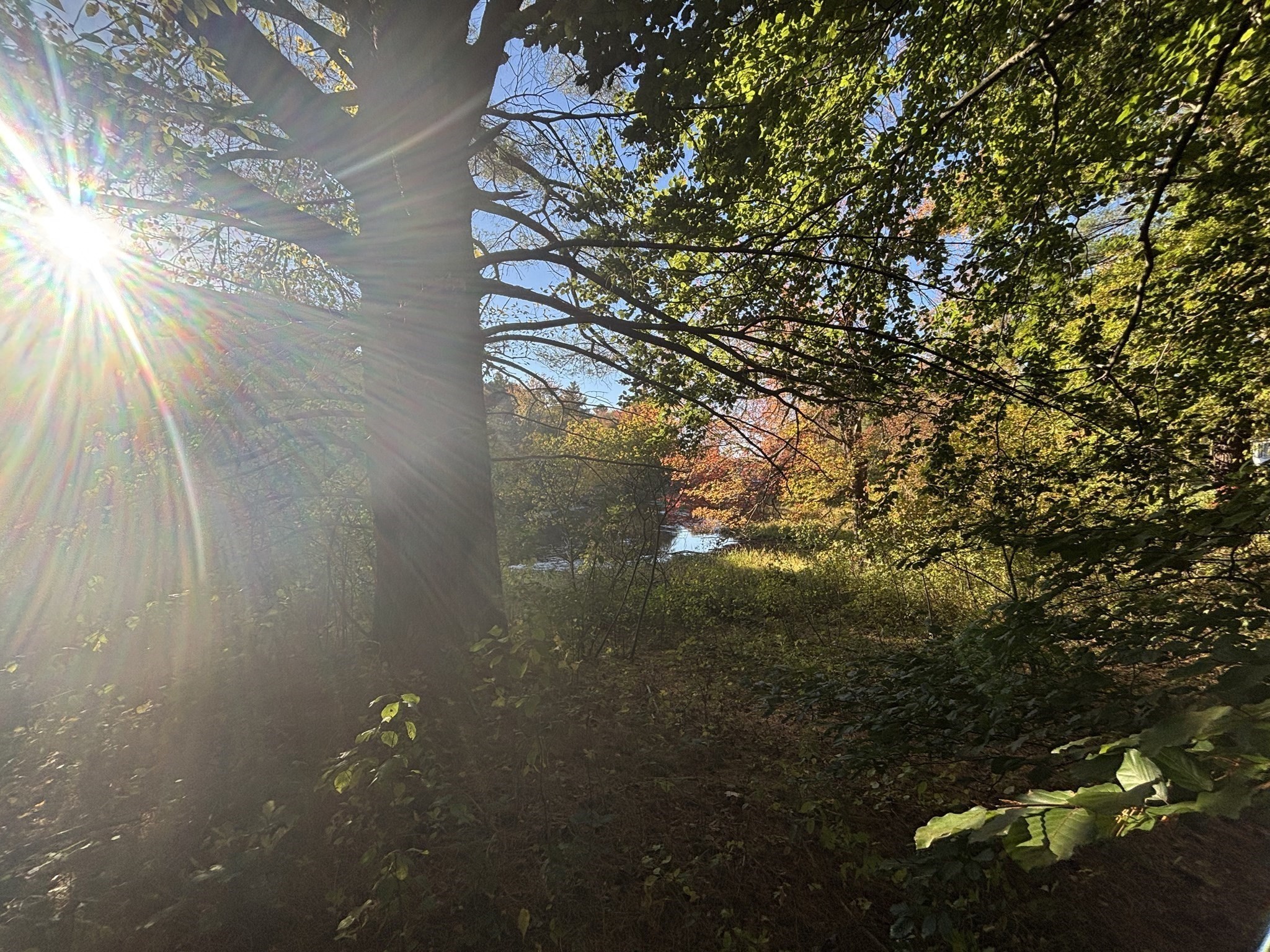 9 Howarth Rd, Oxford, MA 01540 - Image 25