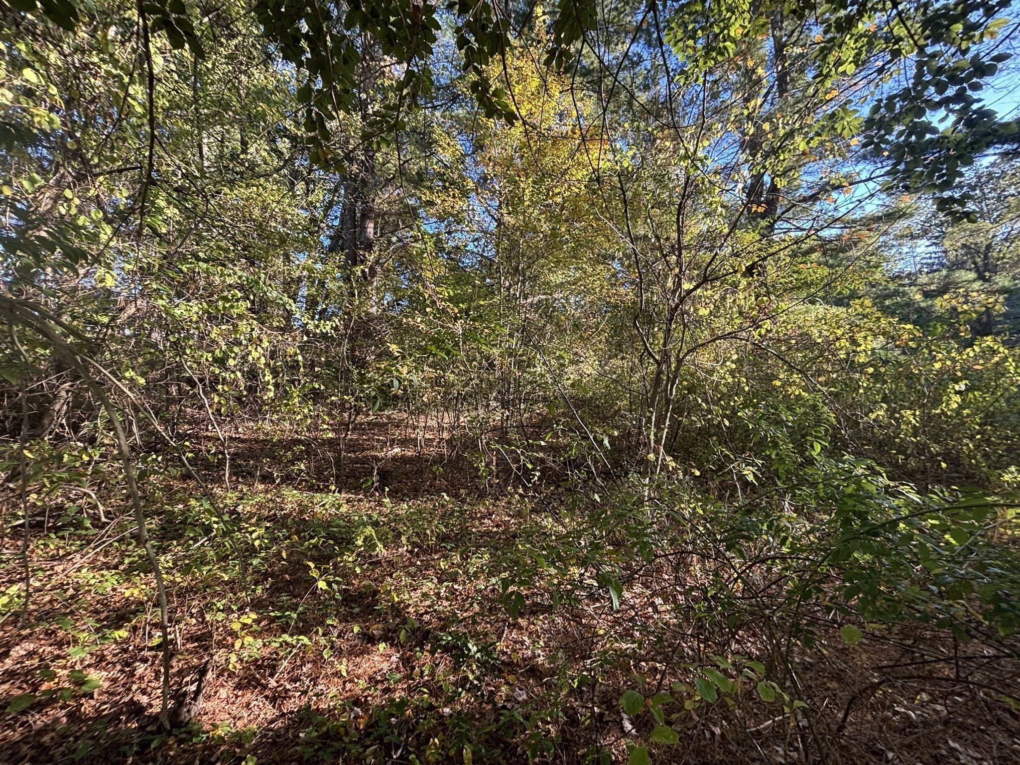 9 Howarth Rd, Oxford, MA 01540 - Image 26