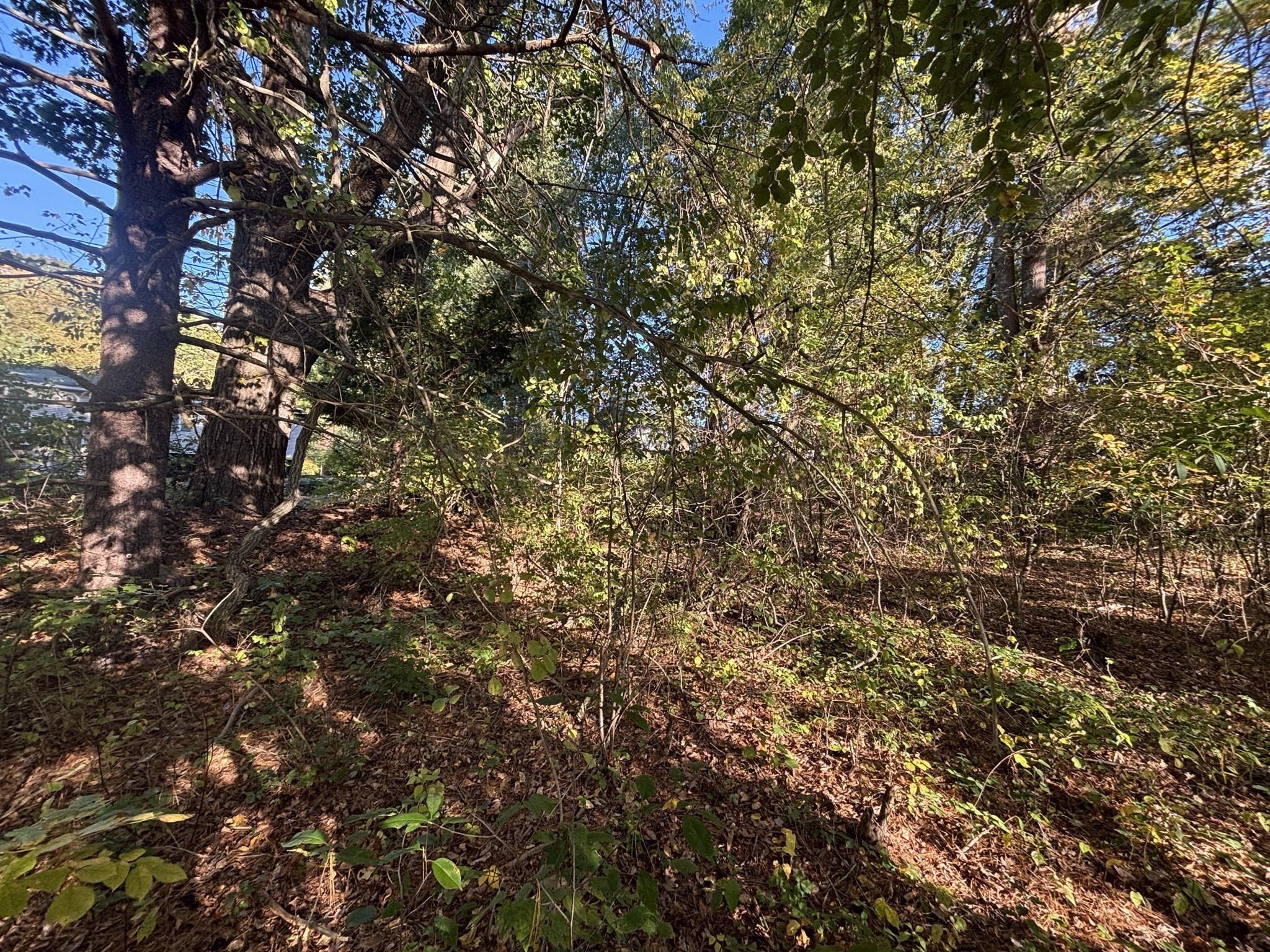 9 Howarth Rd, Oxford, MA 01540 - Image 27