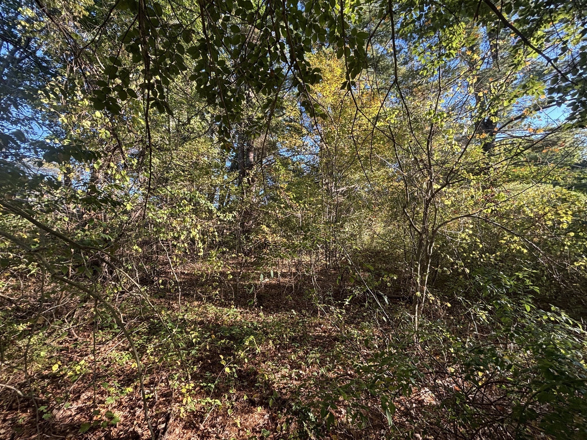 9 Howarth Rd, Oxford, MA 01540 - Image 28