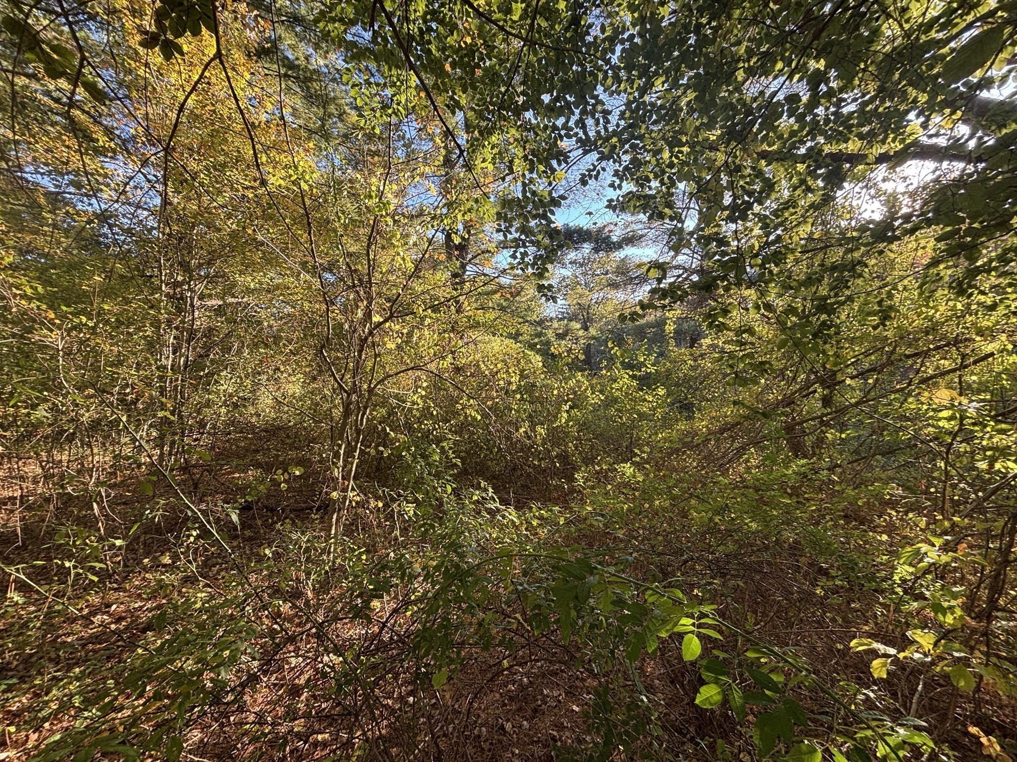 9 Howarth Rd, Oxford, MA 01540 - Image 29