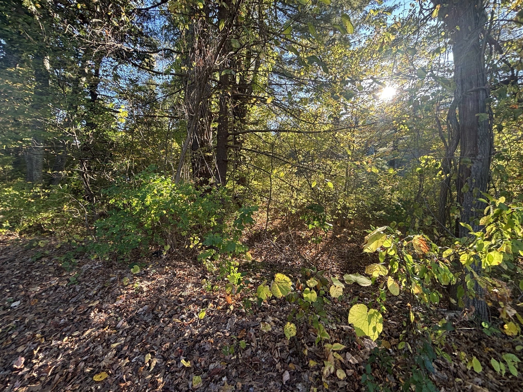 9 Howarth Rd, Oxford, MA 01540 - Image 30