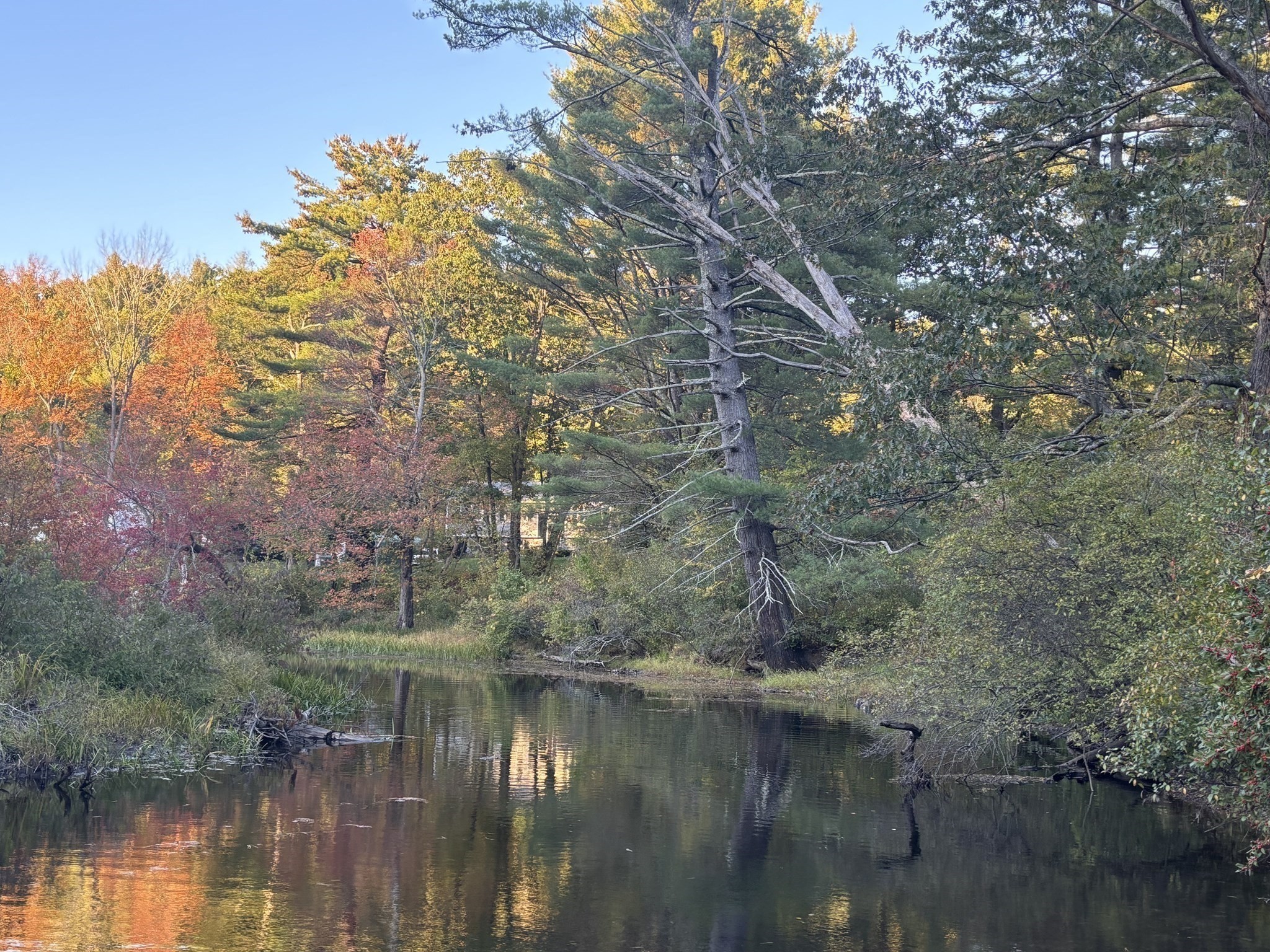 9 Howarth Rd, Oxford, MA 01540 - Image 4