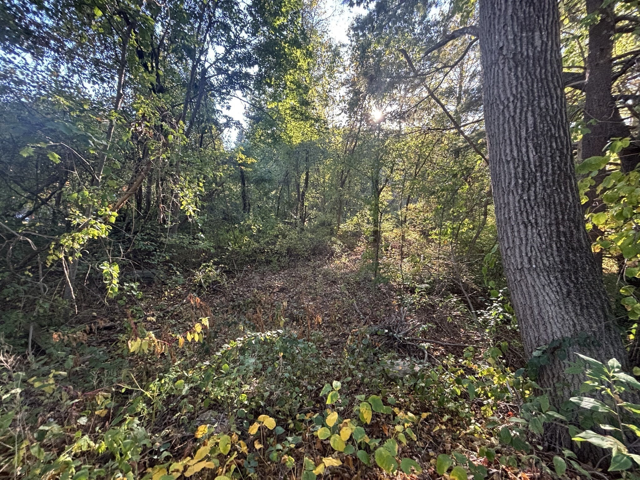 9 Howarth Rd, Oxford, MA 01540 - Image 31