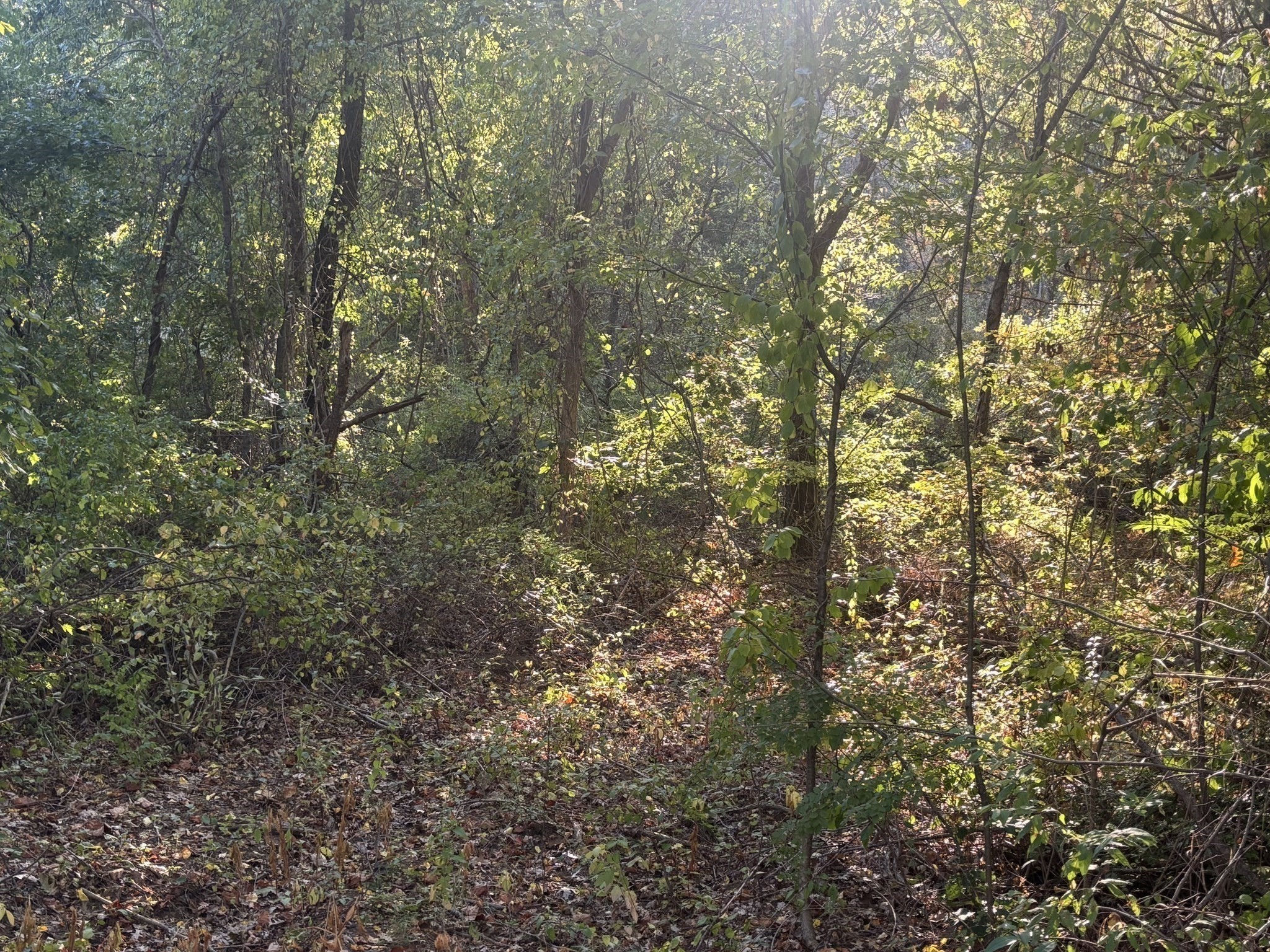 9 Howarth Rd, Oxford, MA 01540 - Image 32