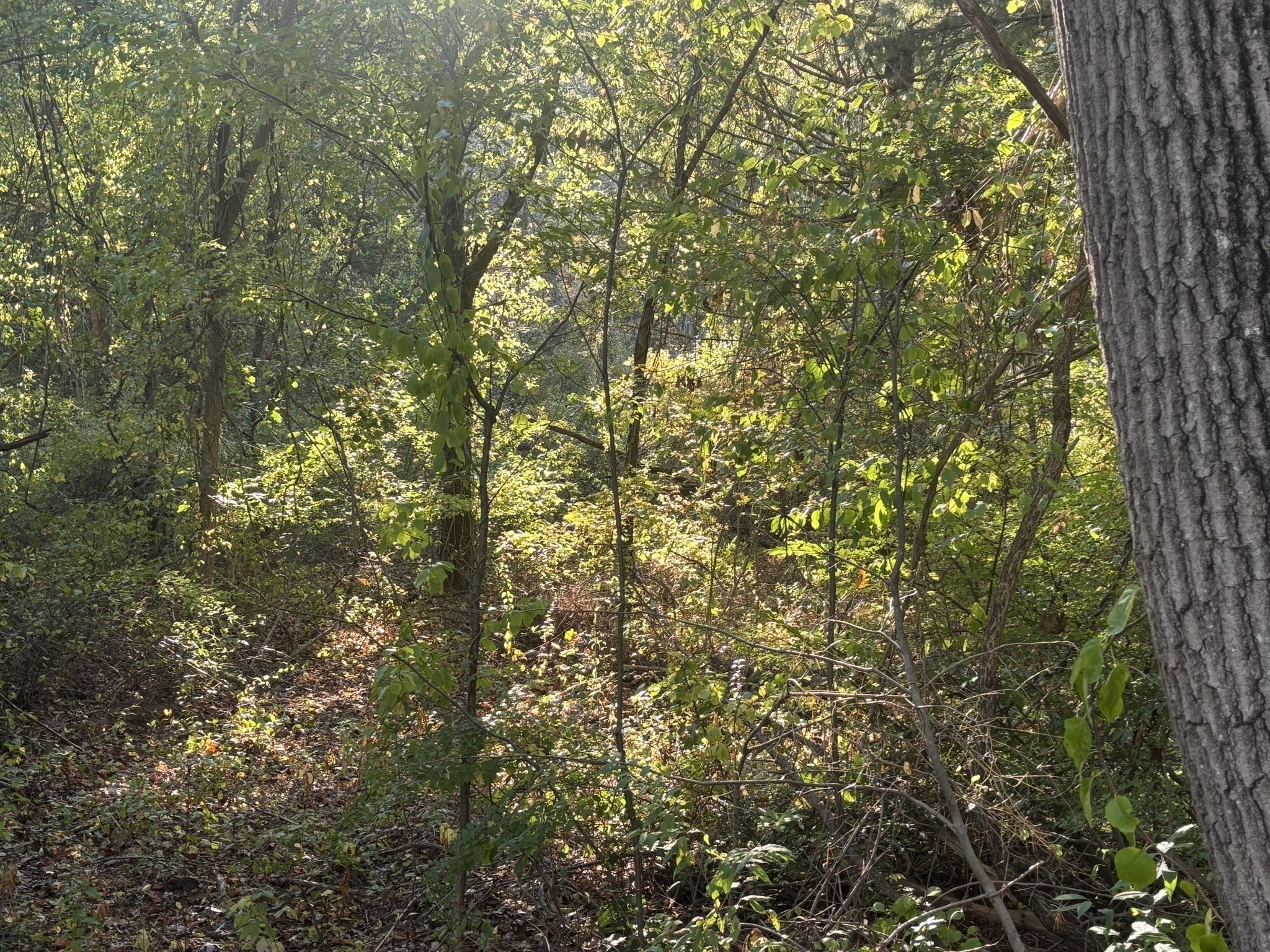 9 Howarth Rd, Oxford, MA 01540 - Image 33