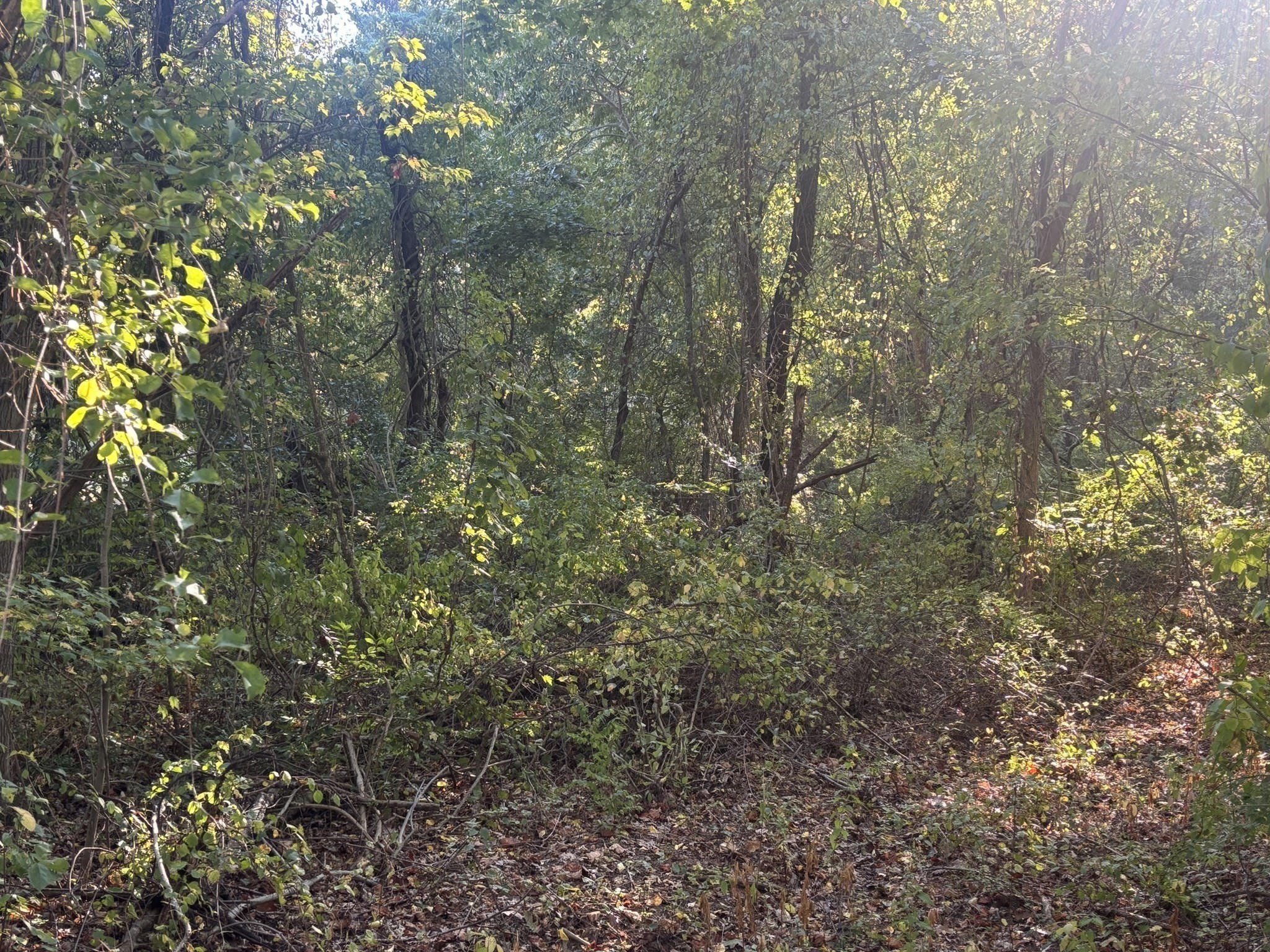 9 Howarth Rd, Oxford, MA 01540 - Image 34