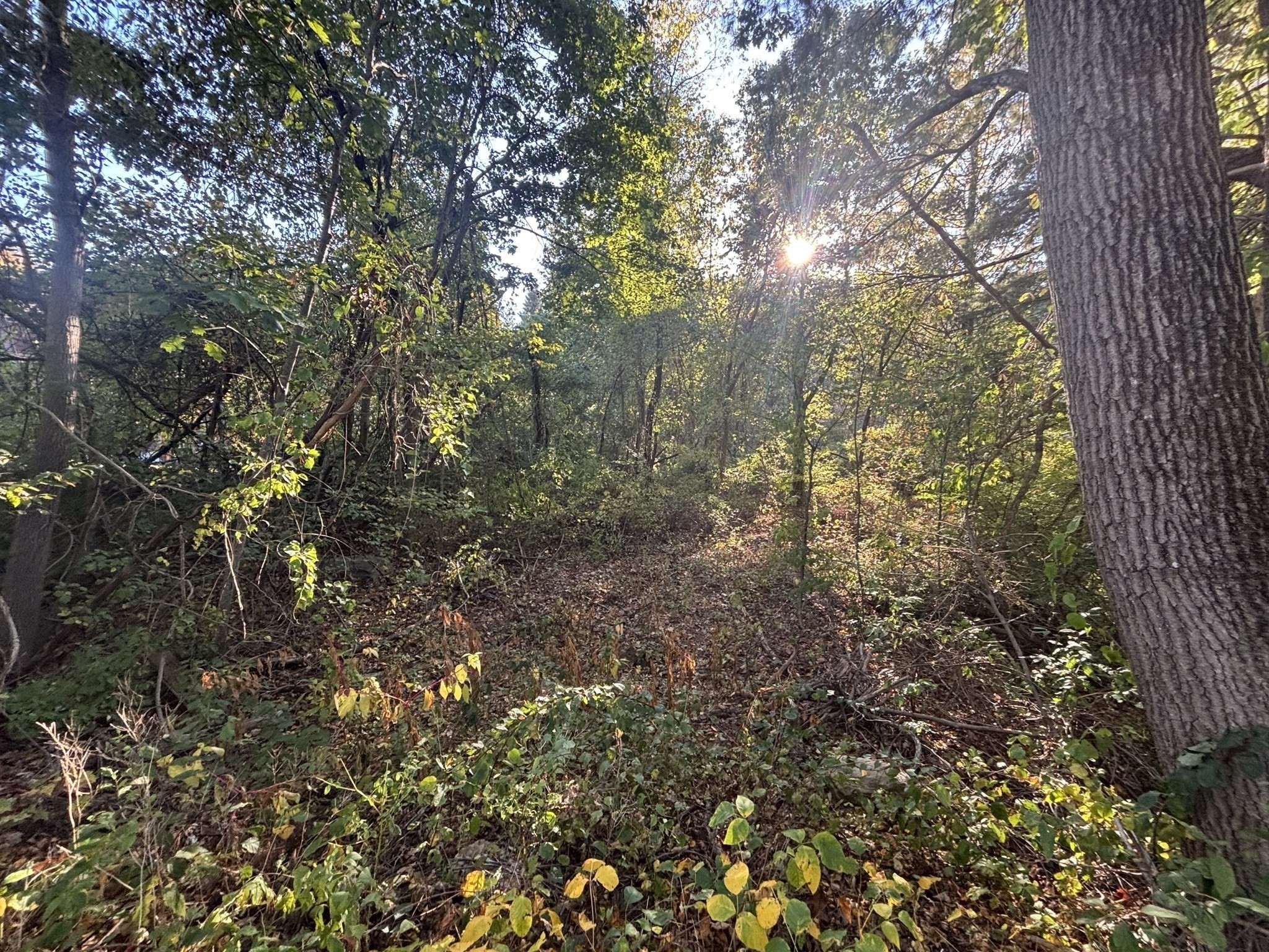 9 Howarth Rd, Oxford, MA 01540 - Image 35