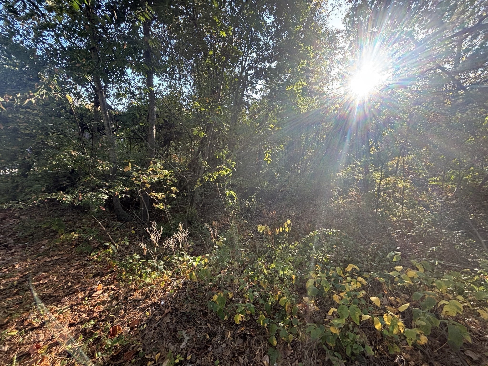 9 Howarth Rd, Oxford, MA 01540 - Image 36