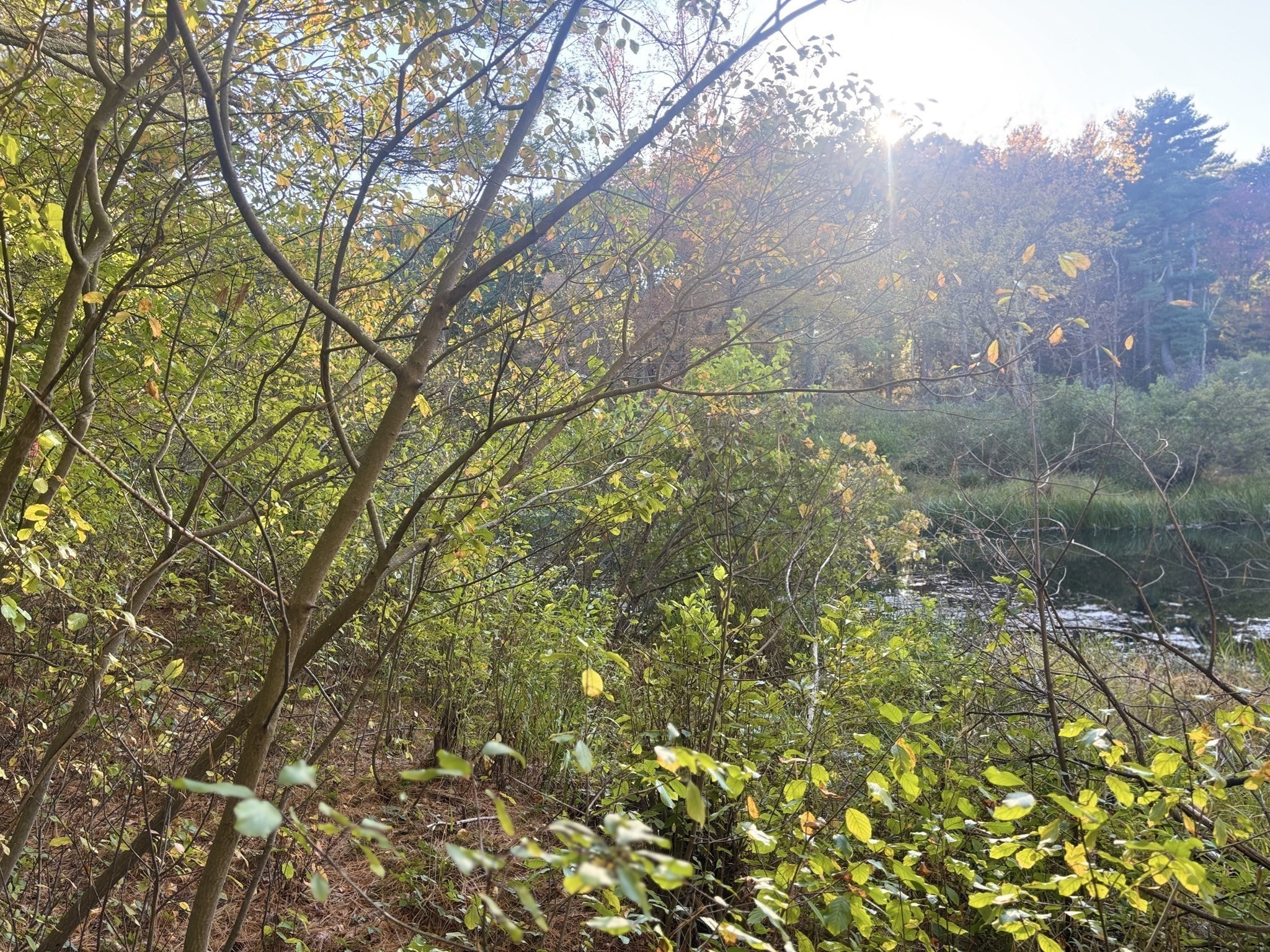 9 Howarth Rd, Oxford, MA 01540 - Image 37