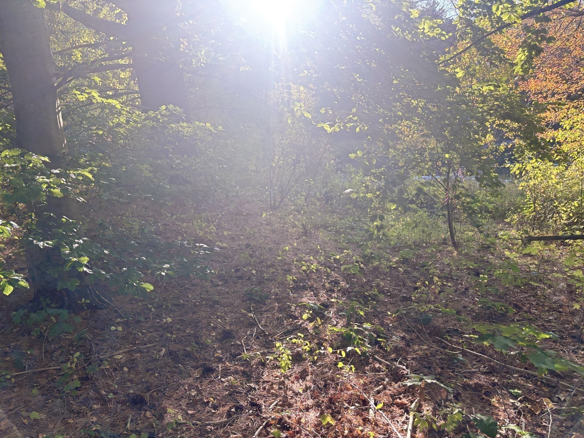 9 Howarth Rd, Oxford, MA 01540 - Image 38