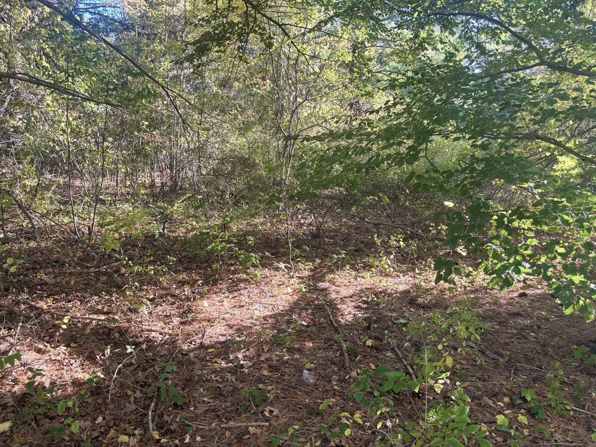 9 Howarth Rd, Oxford, MA 01540 - Image 39