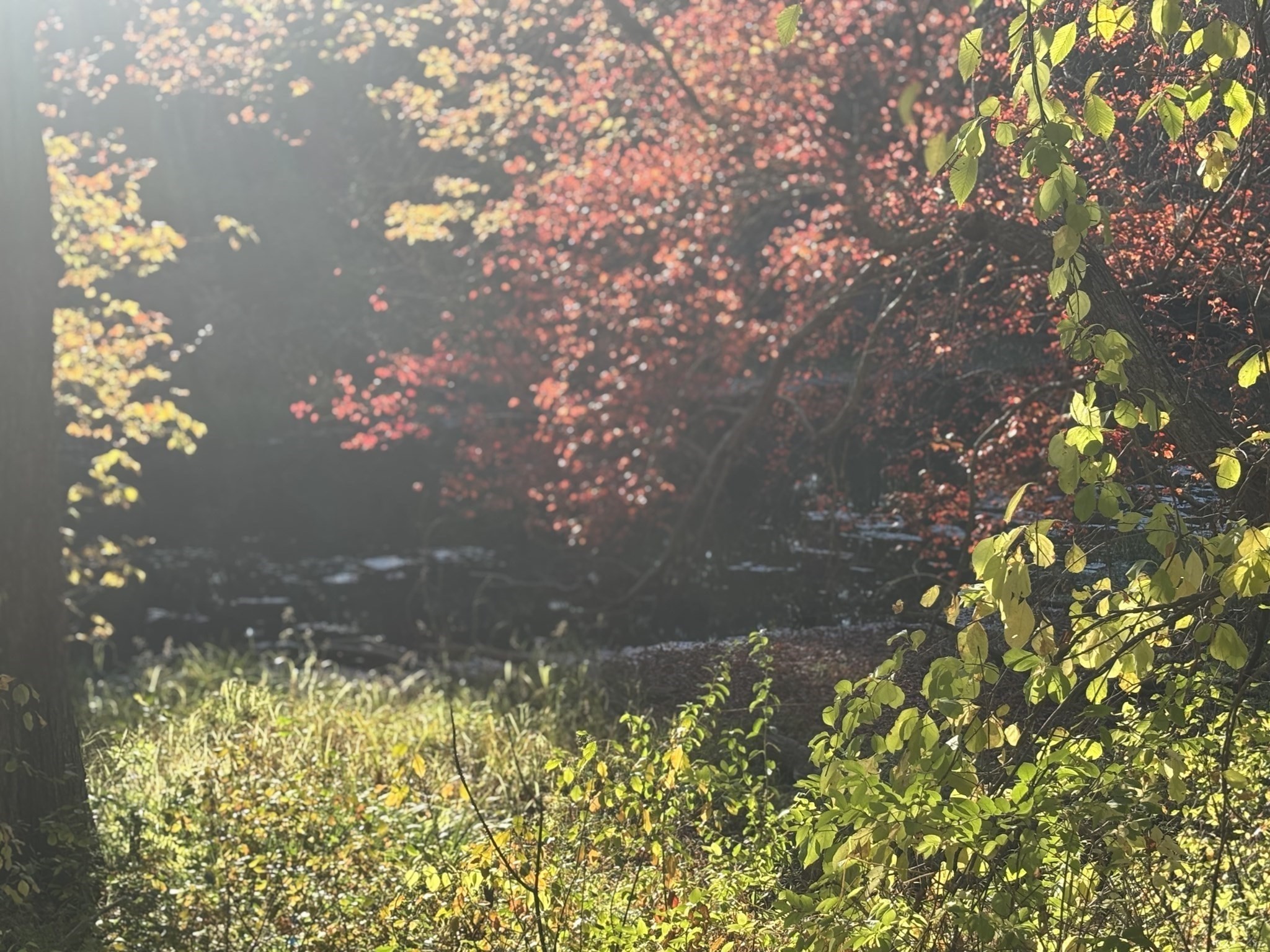 9 Howarth Rd, Oxford, MA 01540 - Image 40