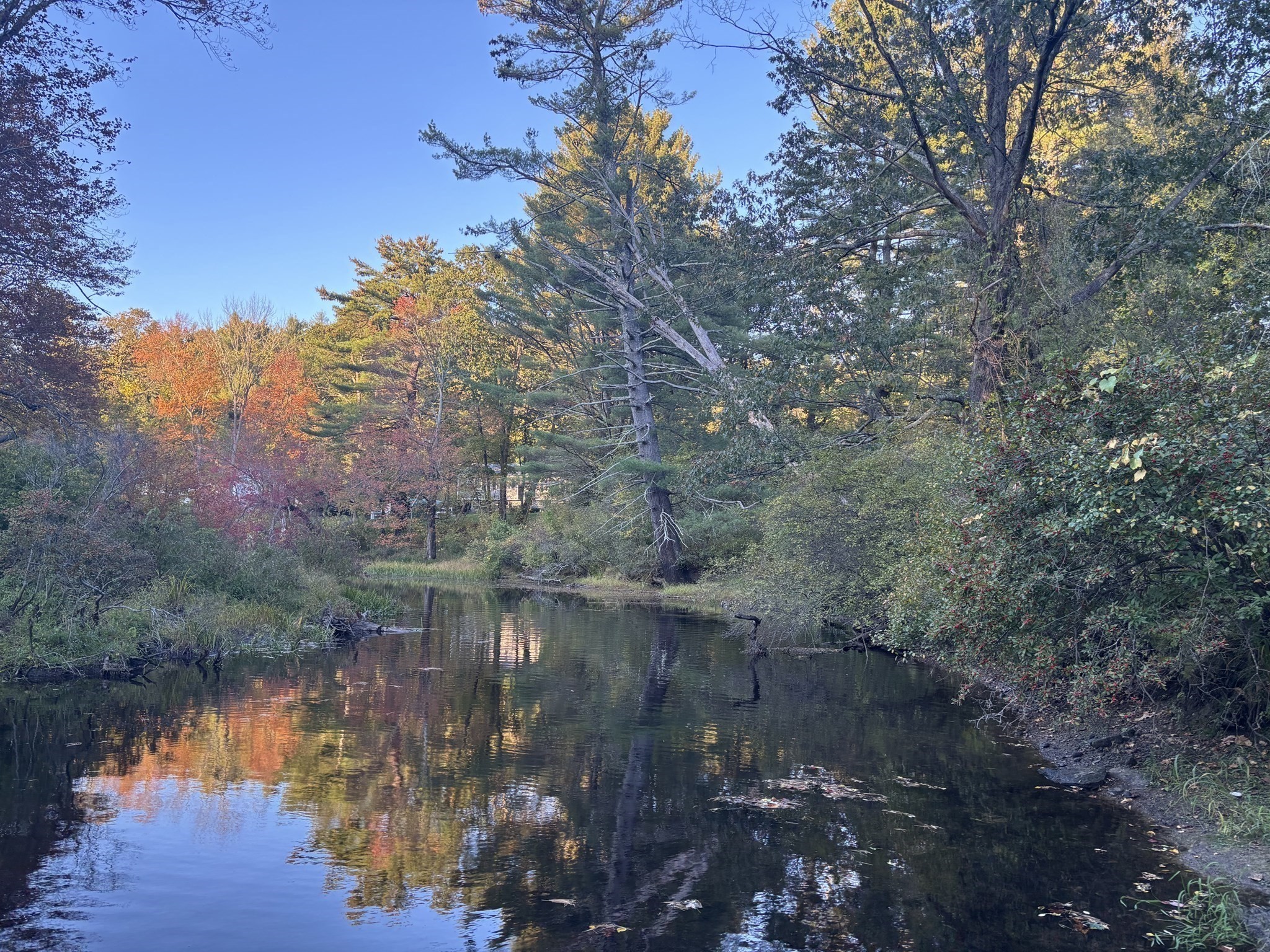 9 Howarth Rd, Oxford, MA 01540 - Image 5