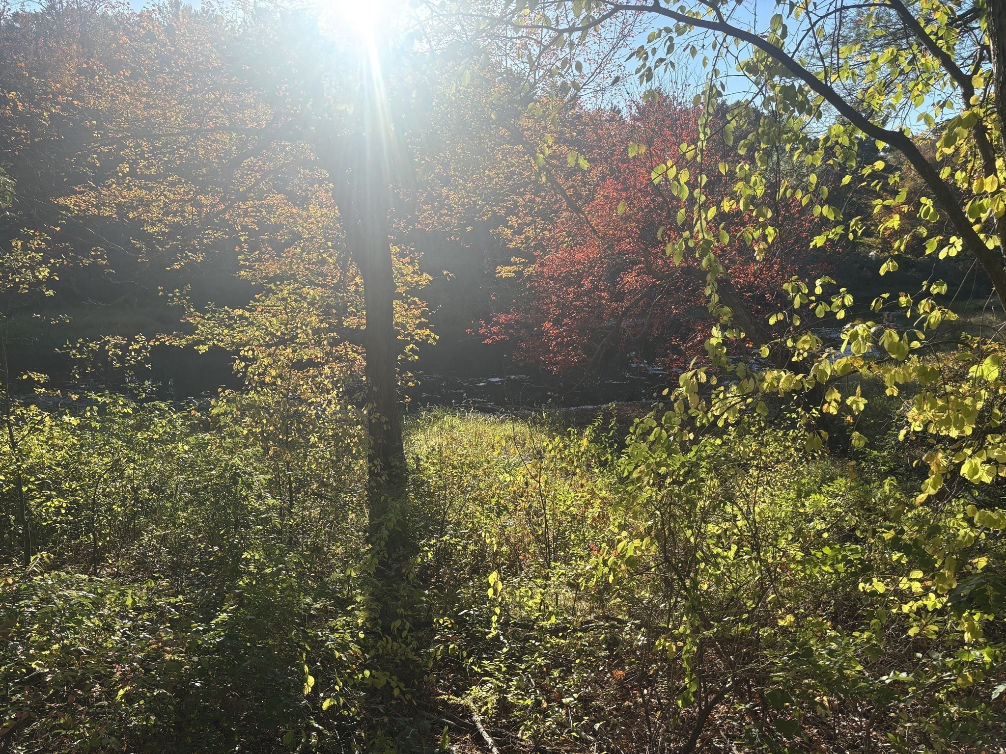 9 Howarth Rd, Oxford, MA 01540 - Image 41