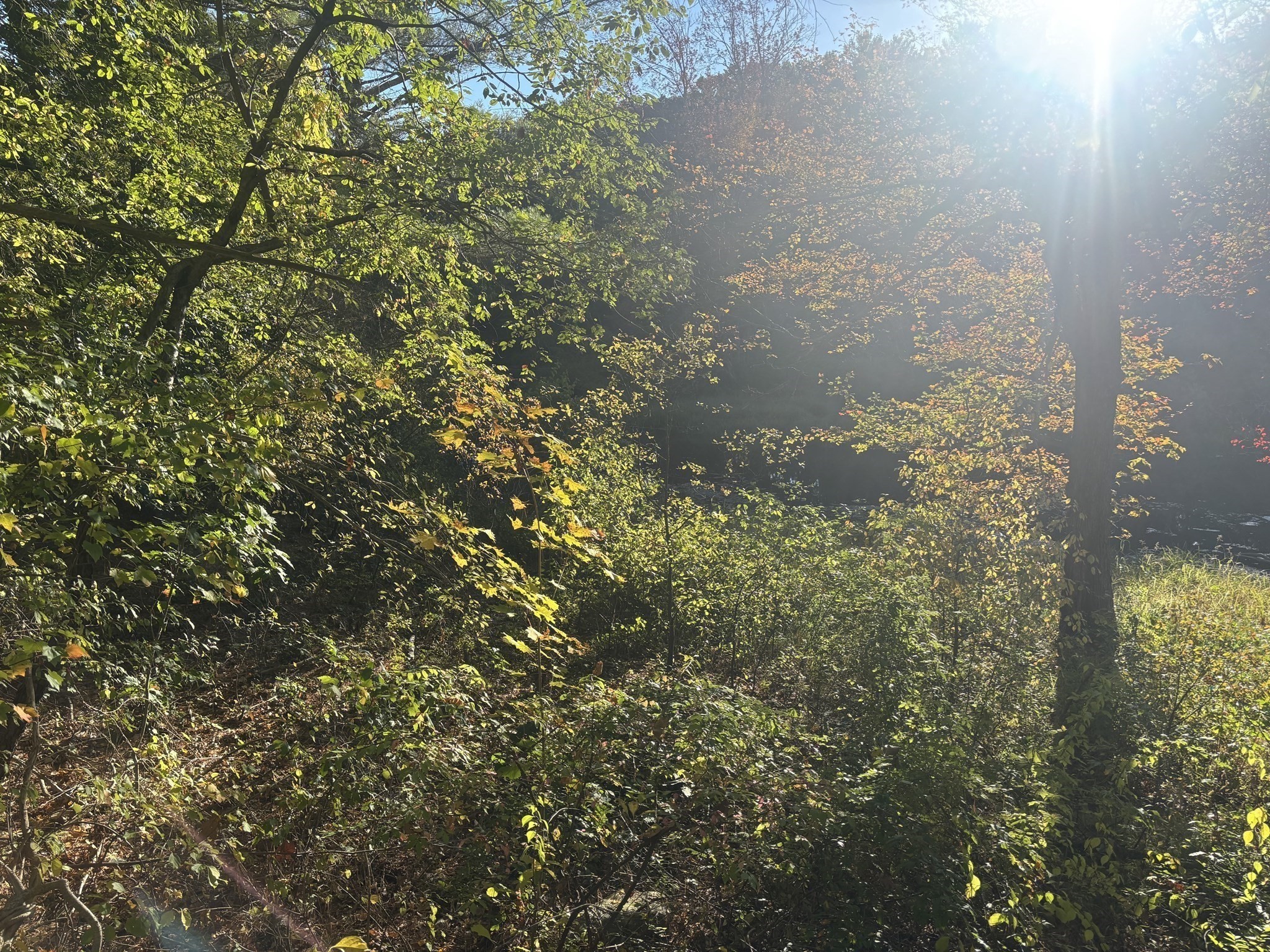 9 Howarth Rd, Oxford, MA 01540 - Image 42