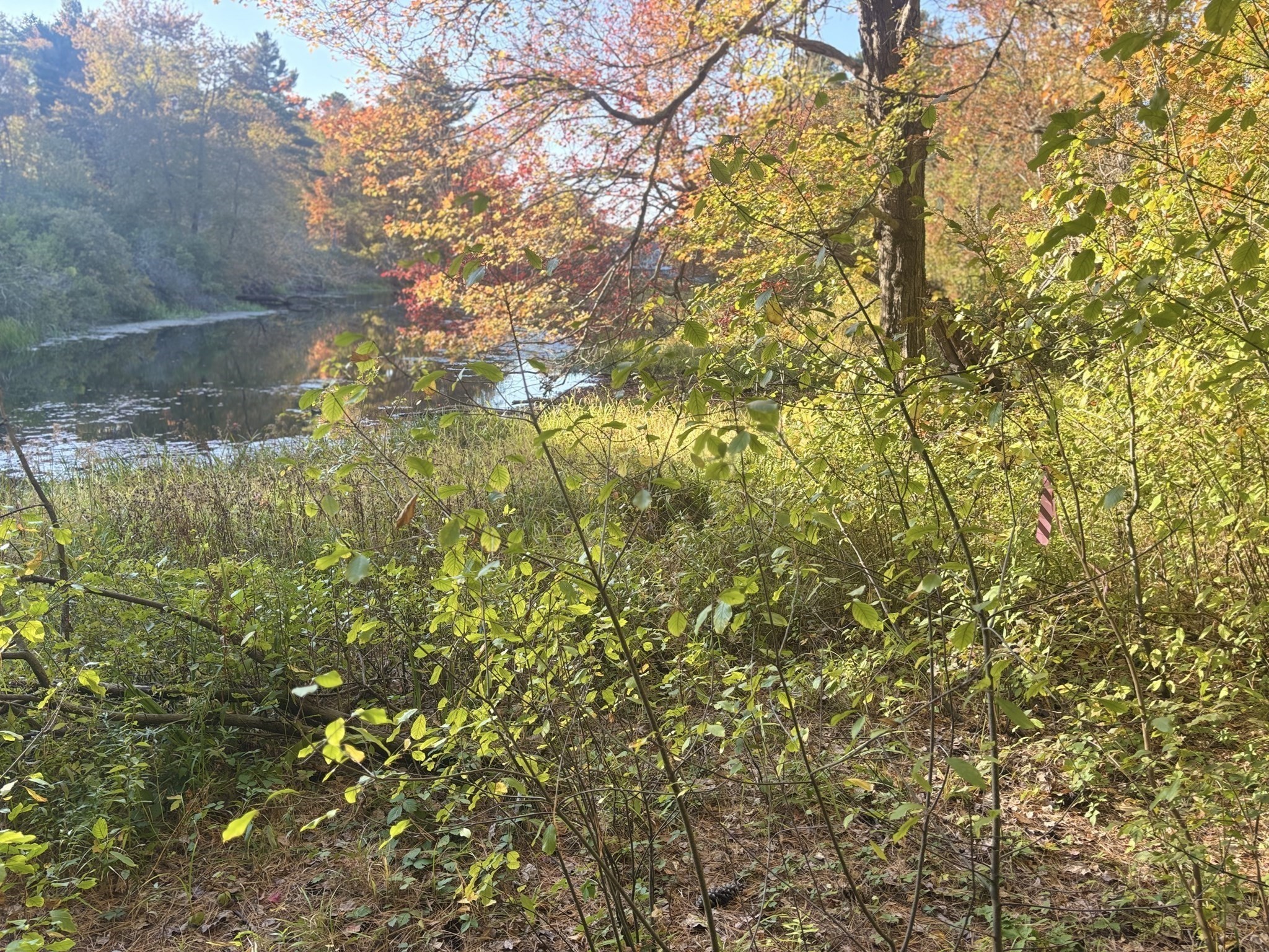 9 Howarth Rd, Oxford, MA 01540 - Image 8