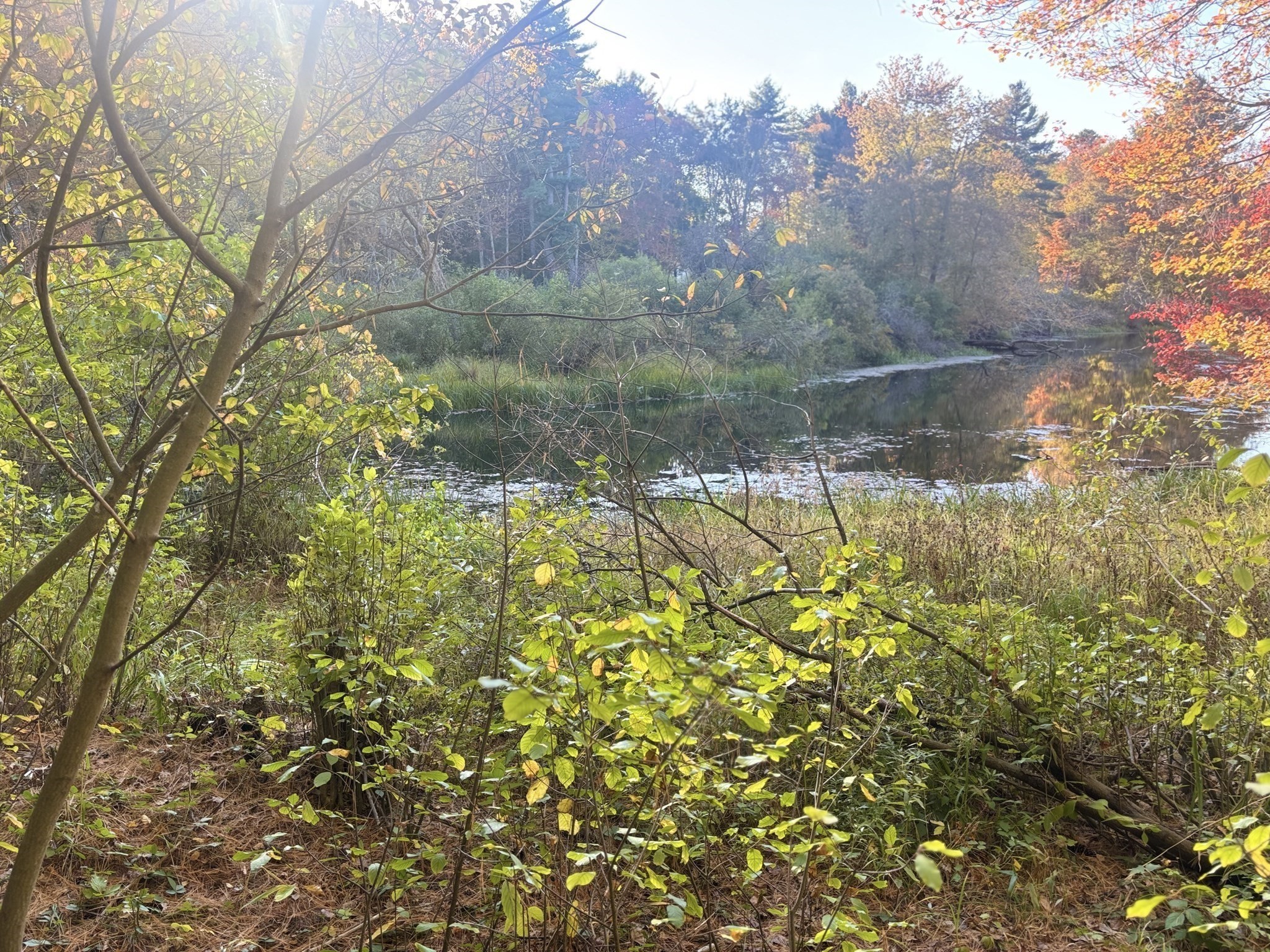 9 Howarth Rd, Oxford, MA 01540 - Image 10