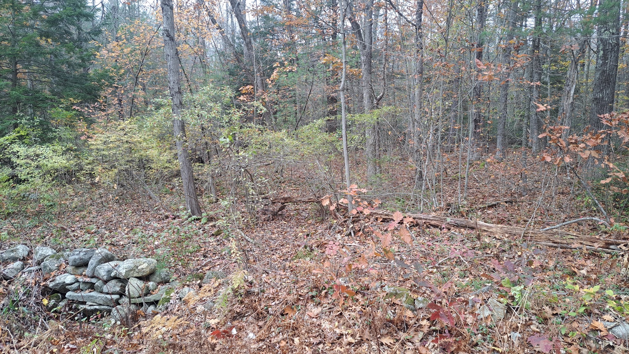 0 Minott Rd, Westminster, MA 01473 - Image 2