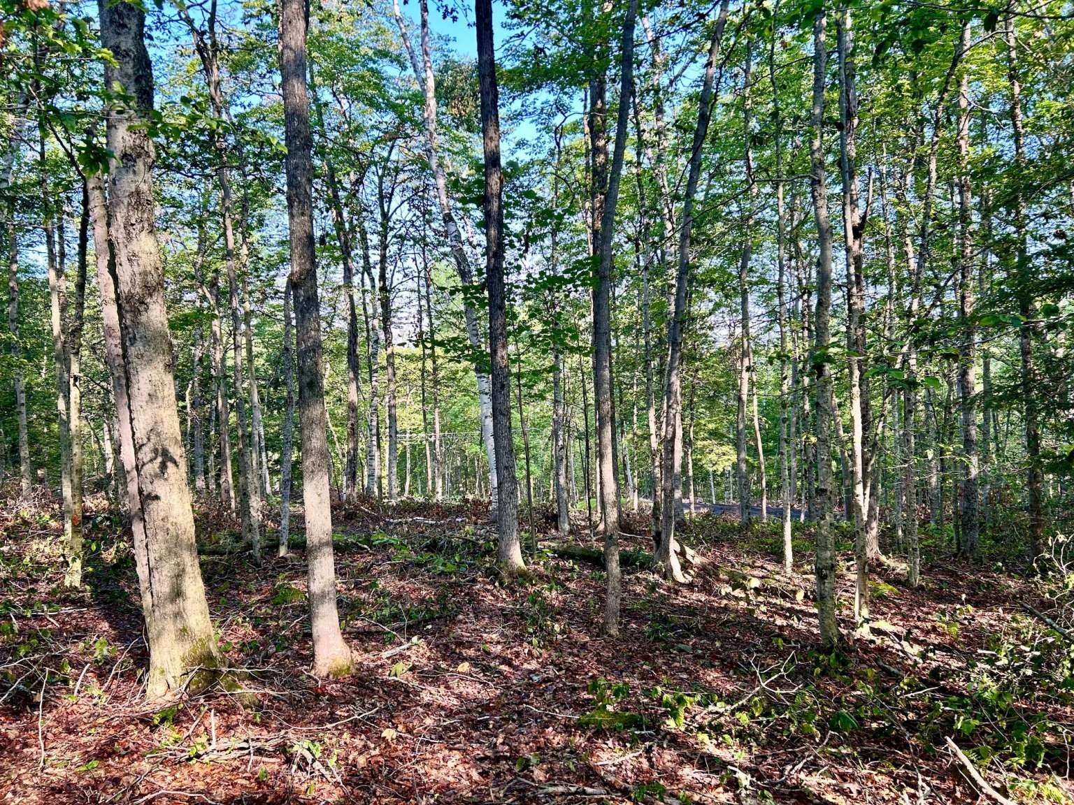 0 East Hoosac St, Adams, MA 01220 - Image 3