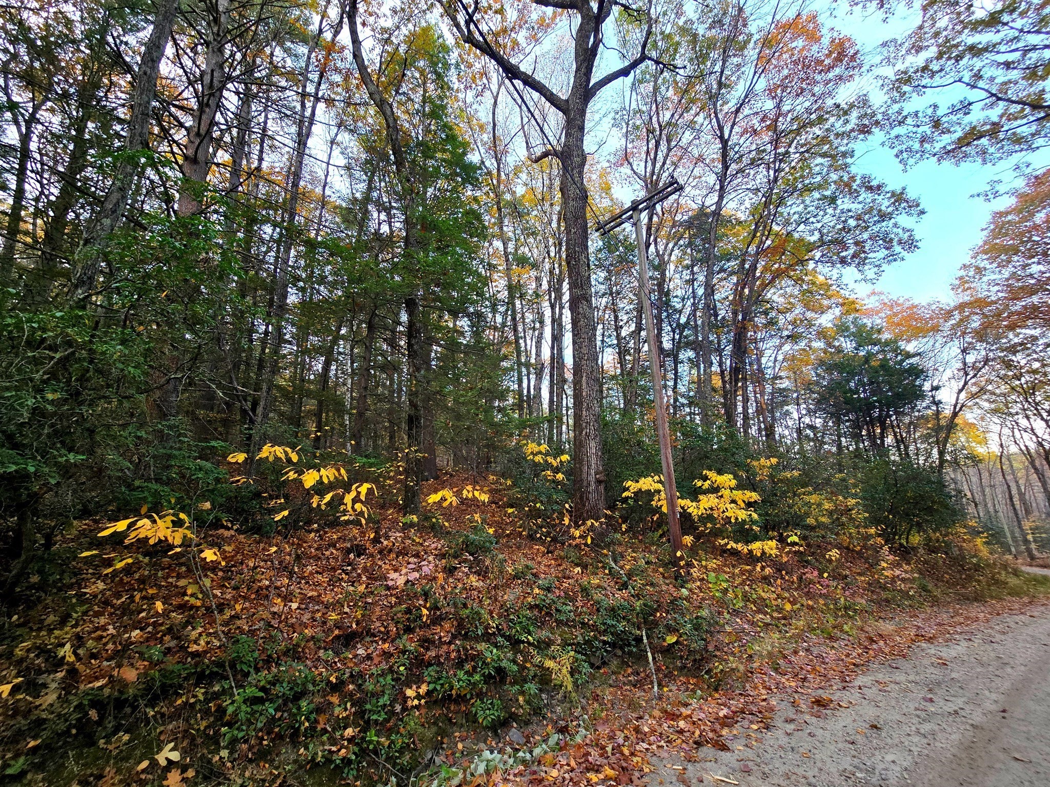 0 Cooleyville Rd, Shutesbury, MA 01072 - Image 1