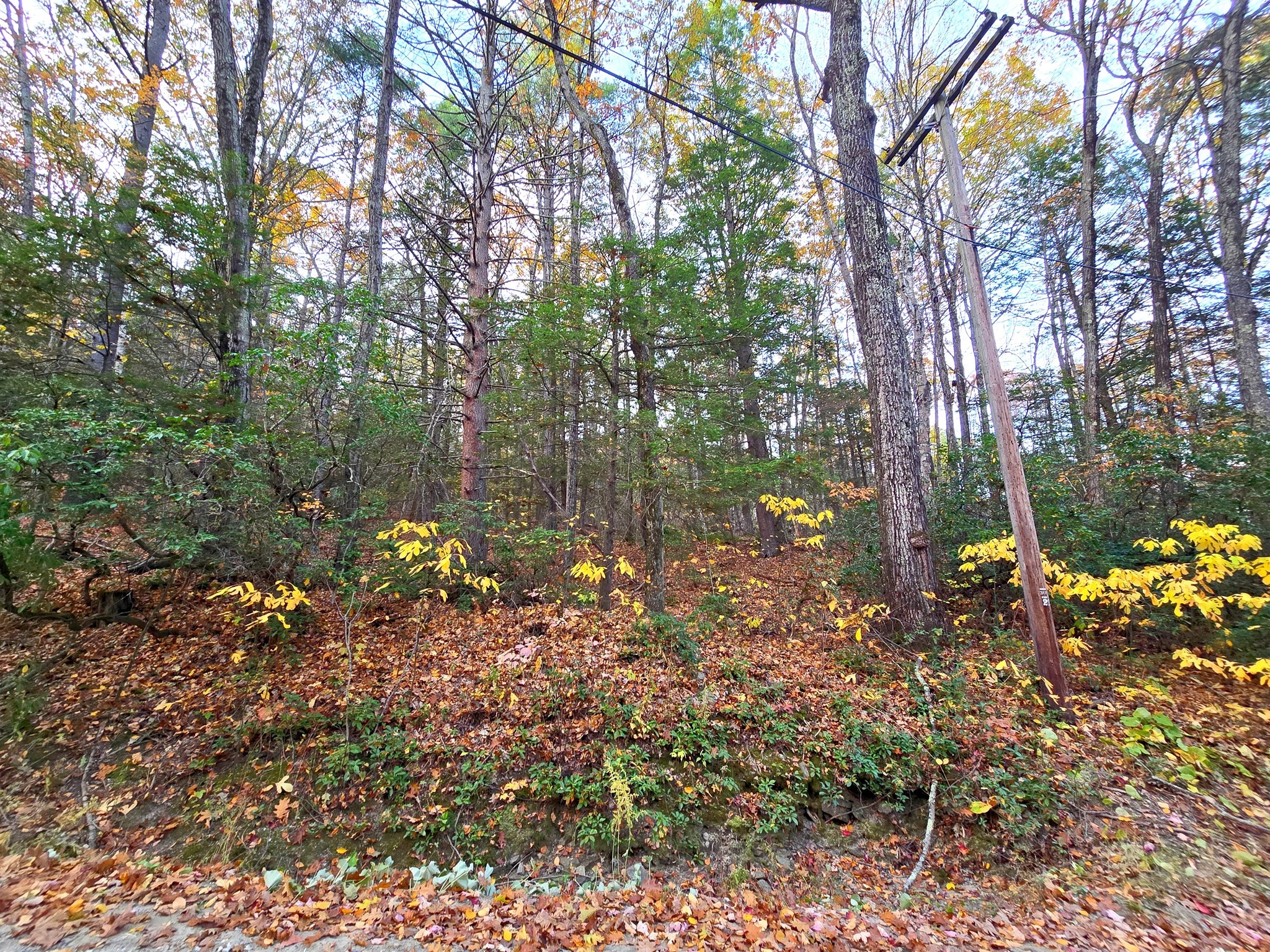 0 Cooleyville Rd, Shutesbury, MA 01072 - Image 5