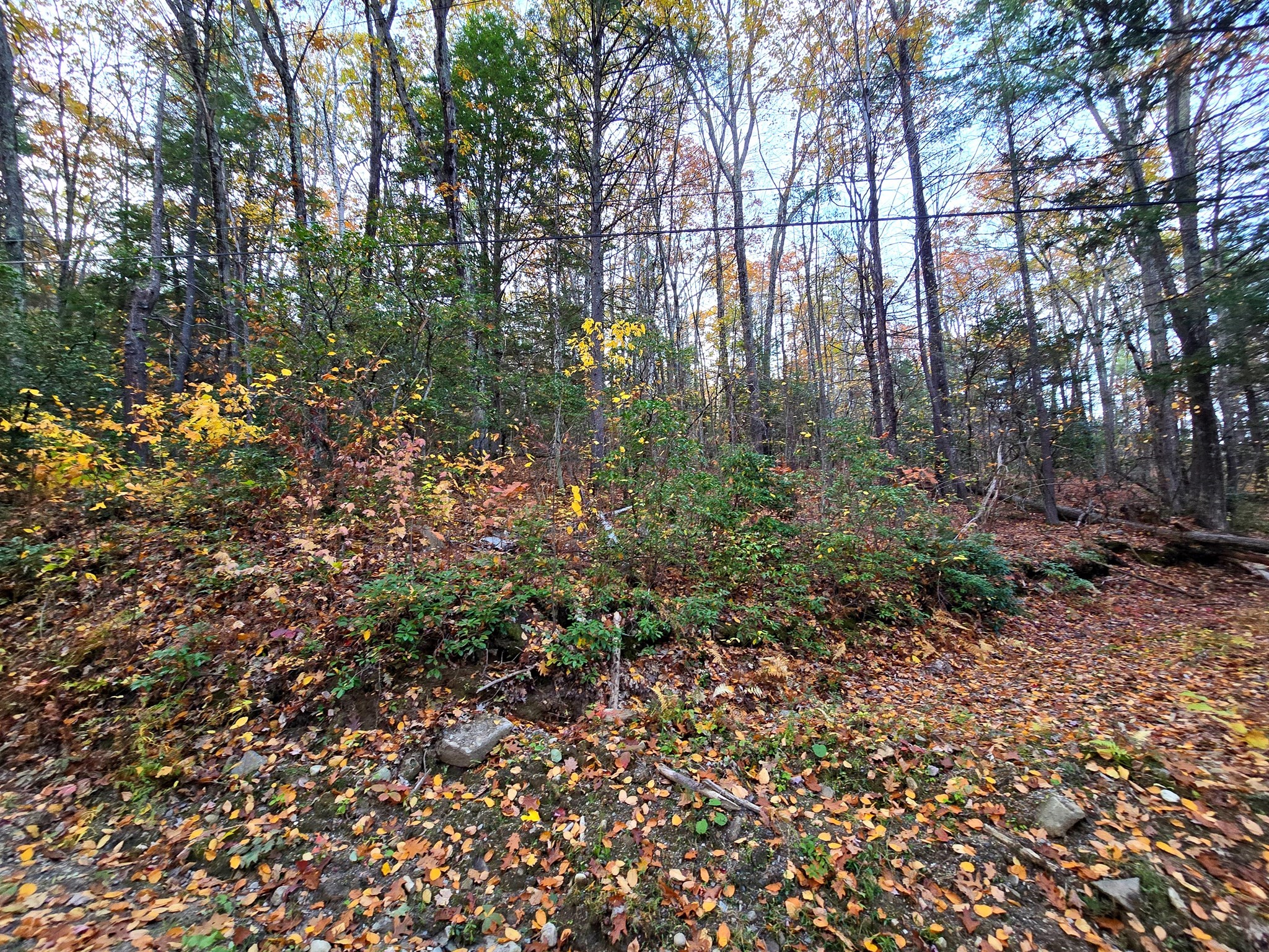 0 Cooleyville Rd, Shutesbury, MA 01072 - Image 6