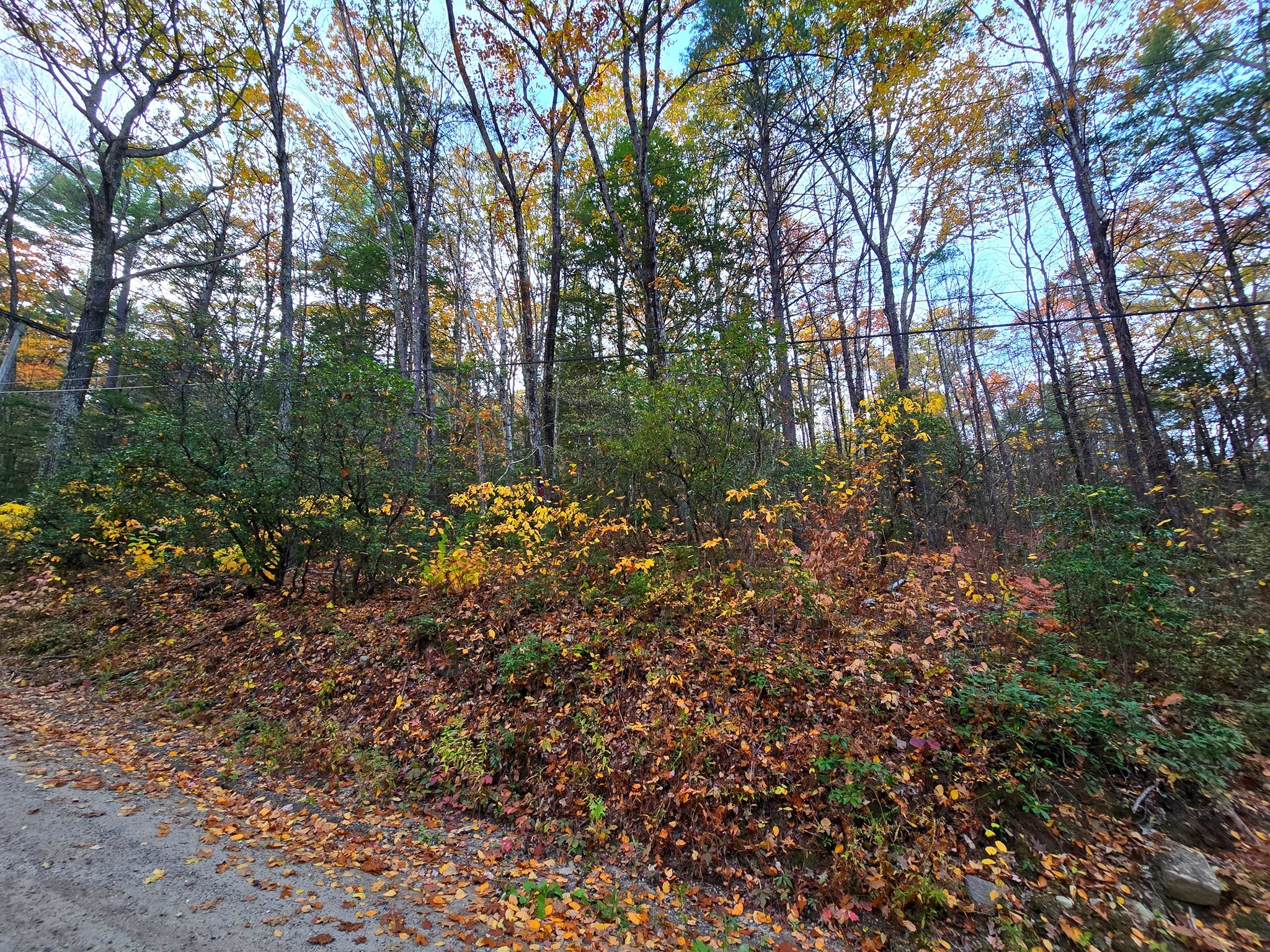 0 Cooleyville Rd, Shutesbury, MA 01072 - Image 7