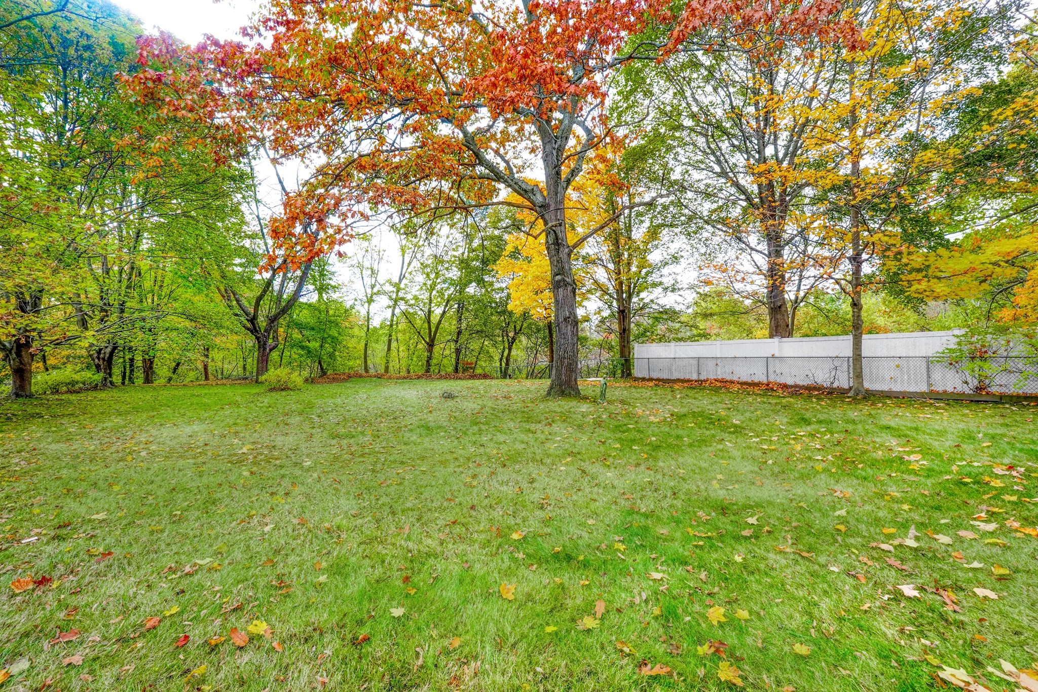 38 Appleton St, Saugus, MA 01906 - Image 34