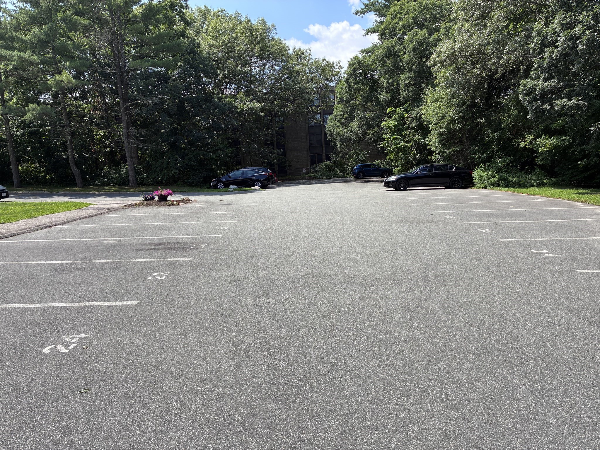 25 Alpine St Unit 7, Hyde Park, Boston, MA 02136 - Image 14