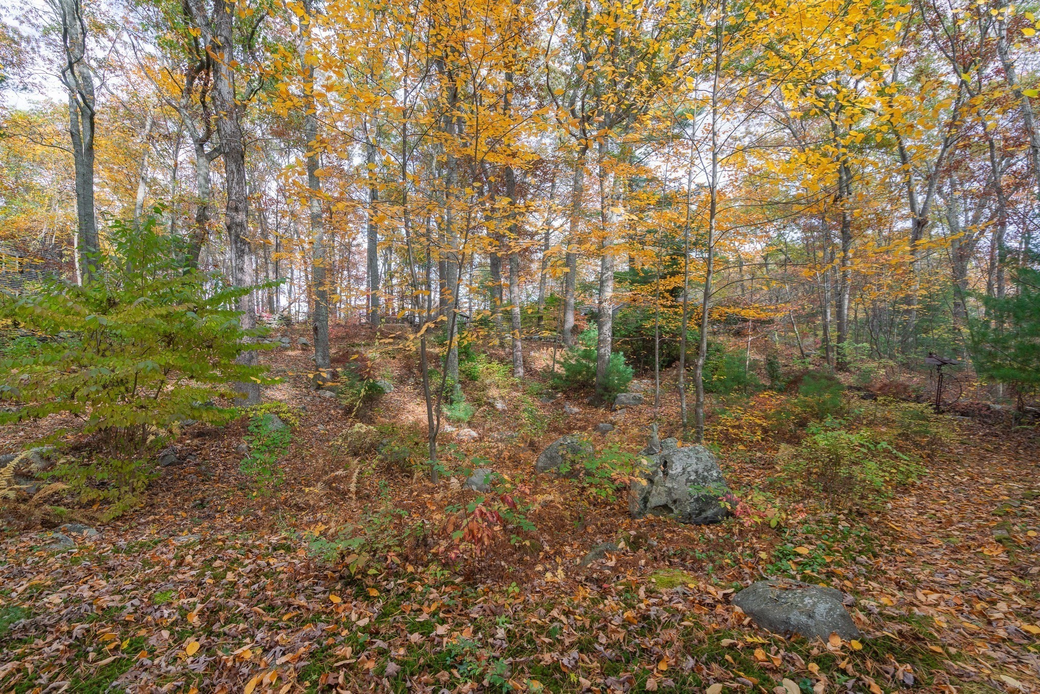 154 Fairview, Rehoboth, MA 02769 - Image 10