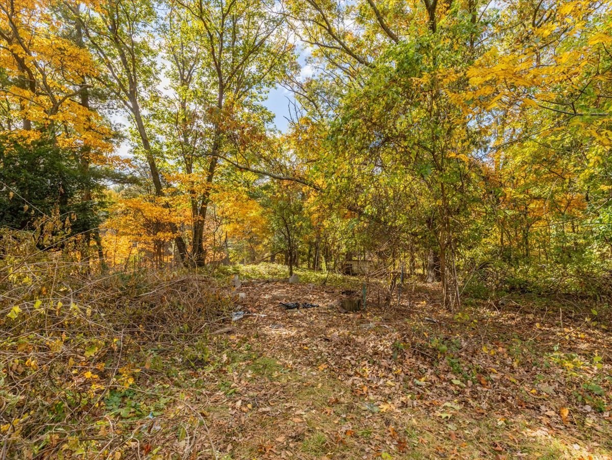 187 Vincent Rd, Dedham, MA 02026 - Image 34