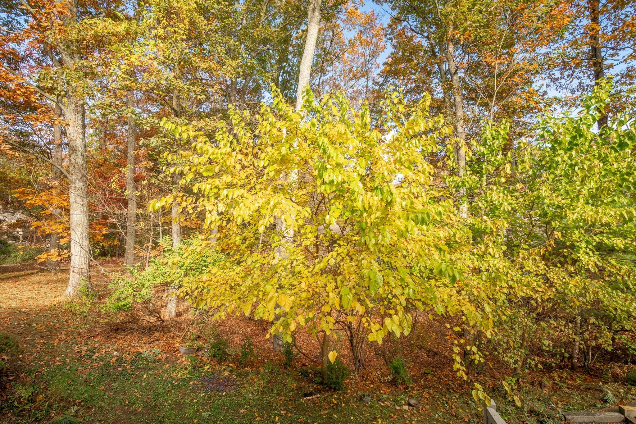 134 Chestnut Circle Unit 134, Lincoln, MA 01773 - Image 33