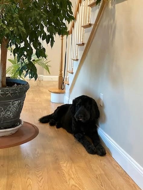 19 Harbourside Rd Unit 19, Quincy, MA 02171 - Image 5