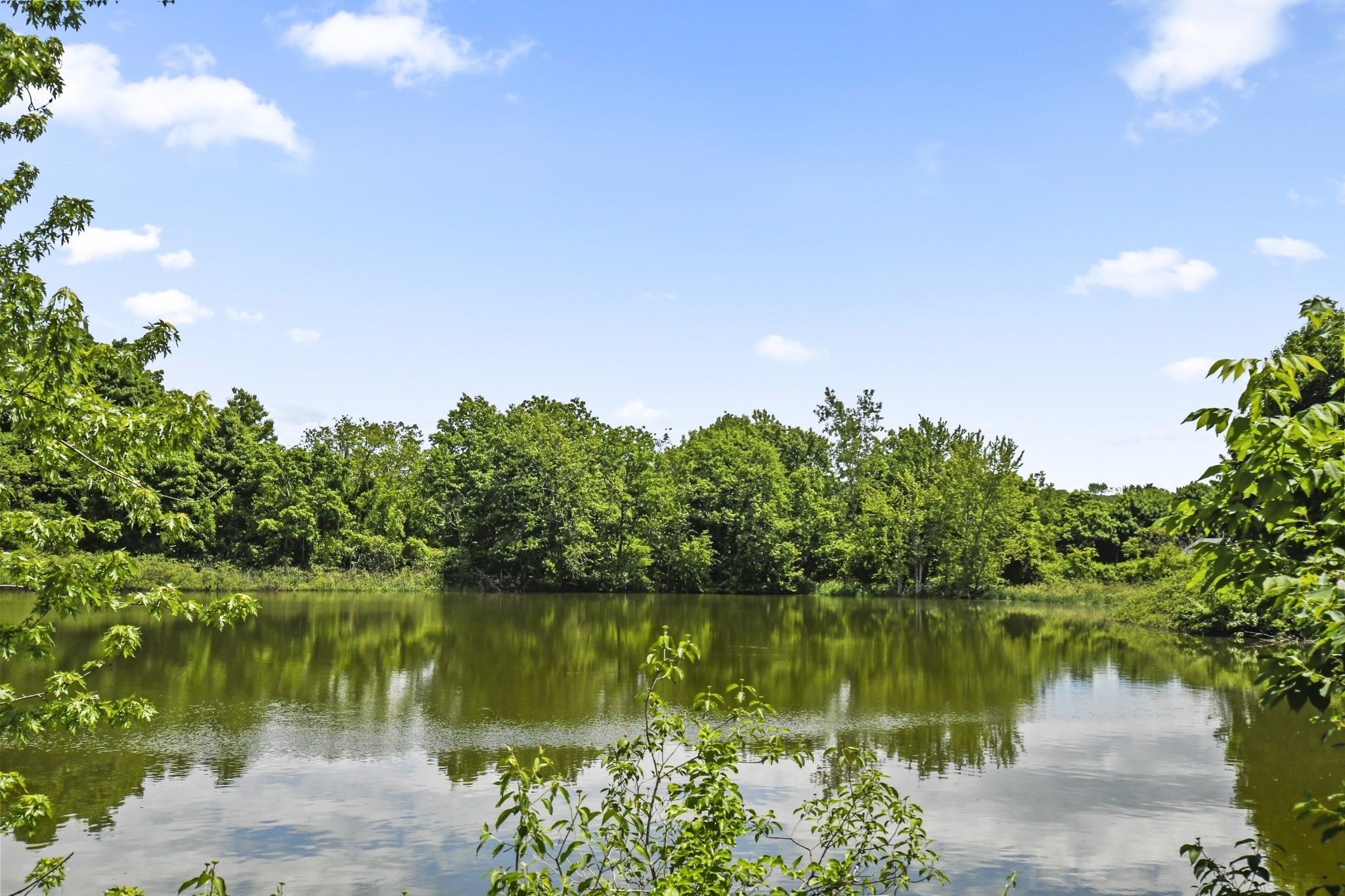 1105 Lexington Street Unit 10-2, Waltham, MA 02452 - Image 5