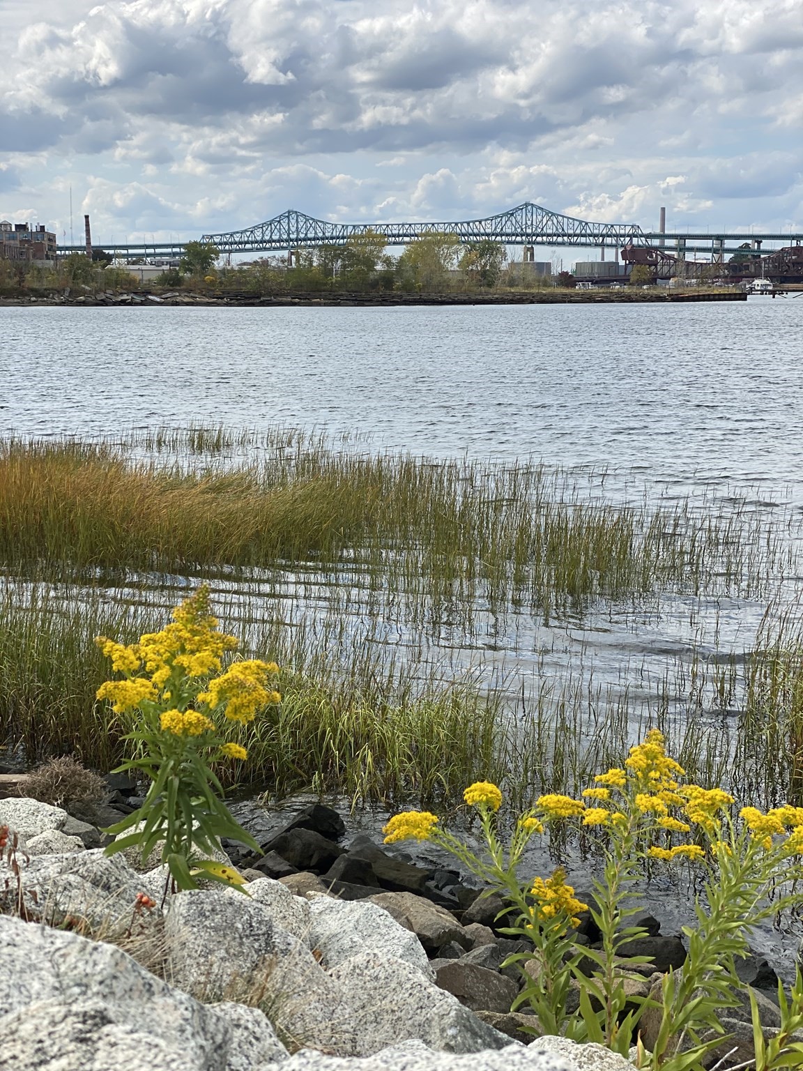 117 Falcon St Unit 3, East Boston, Boston, MA 02128 - Image 32