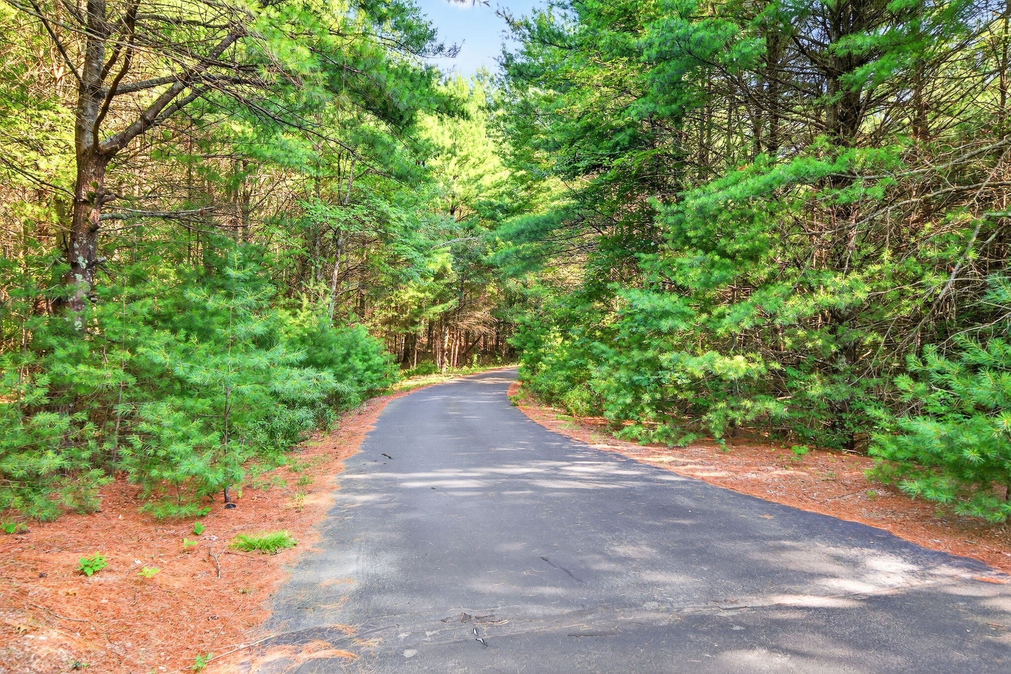 1 Great Cedar Dr, Lakeville, MA 02347 - Image 24