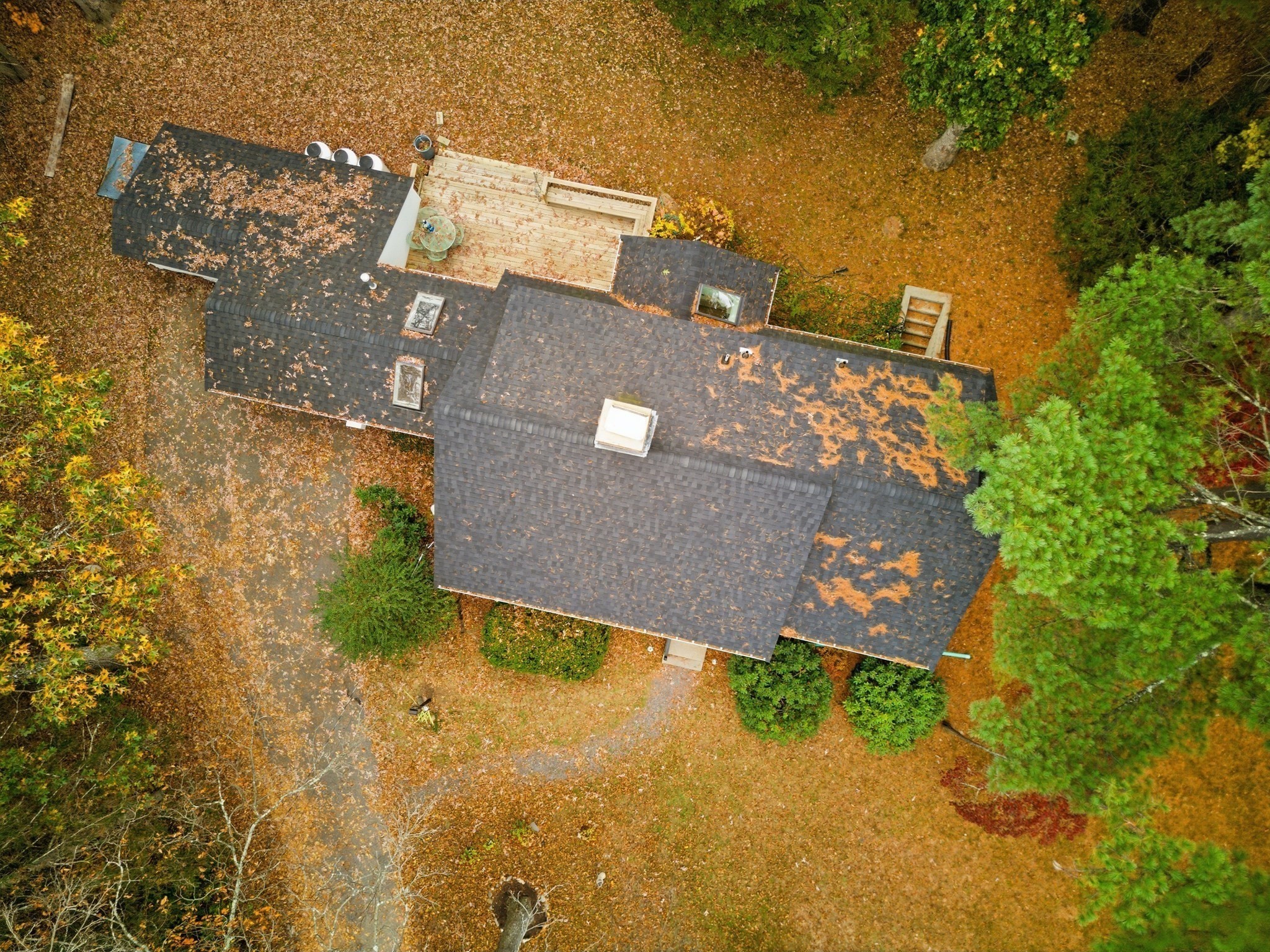 24 Woodland Rd, Sudbury, MA 01776 - Image 39