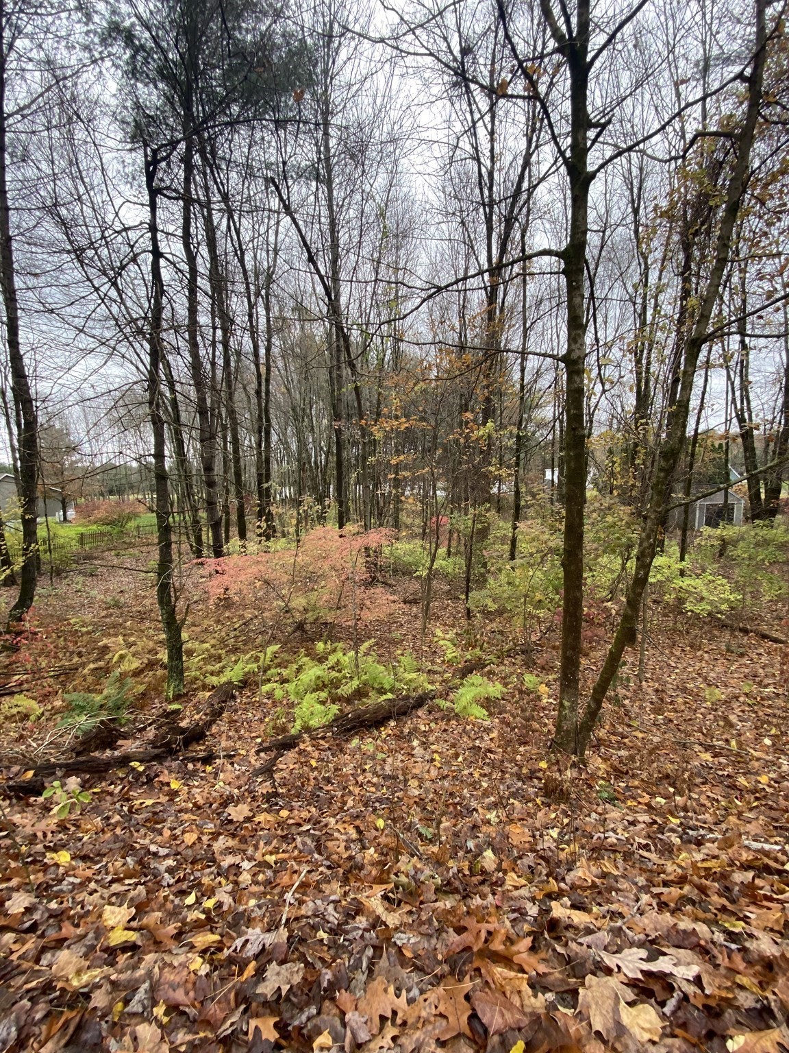 3057 Foster St, Palmer, MA 01069 - Image 1