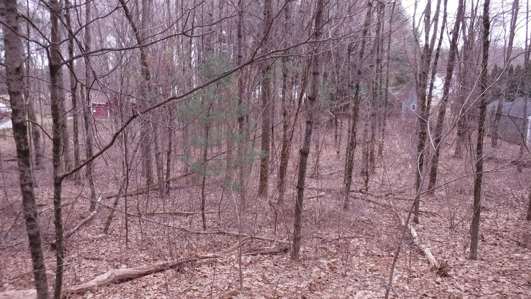 3057 Foster St, Palmer, MA 01069 - Image 2