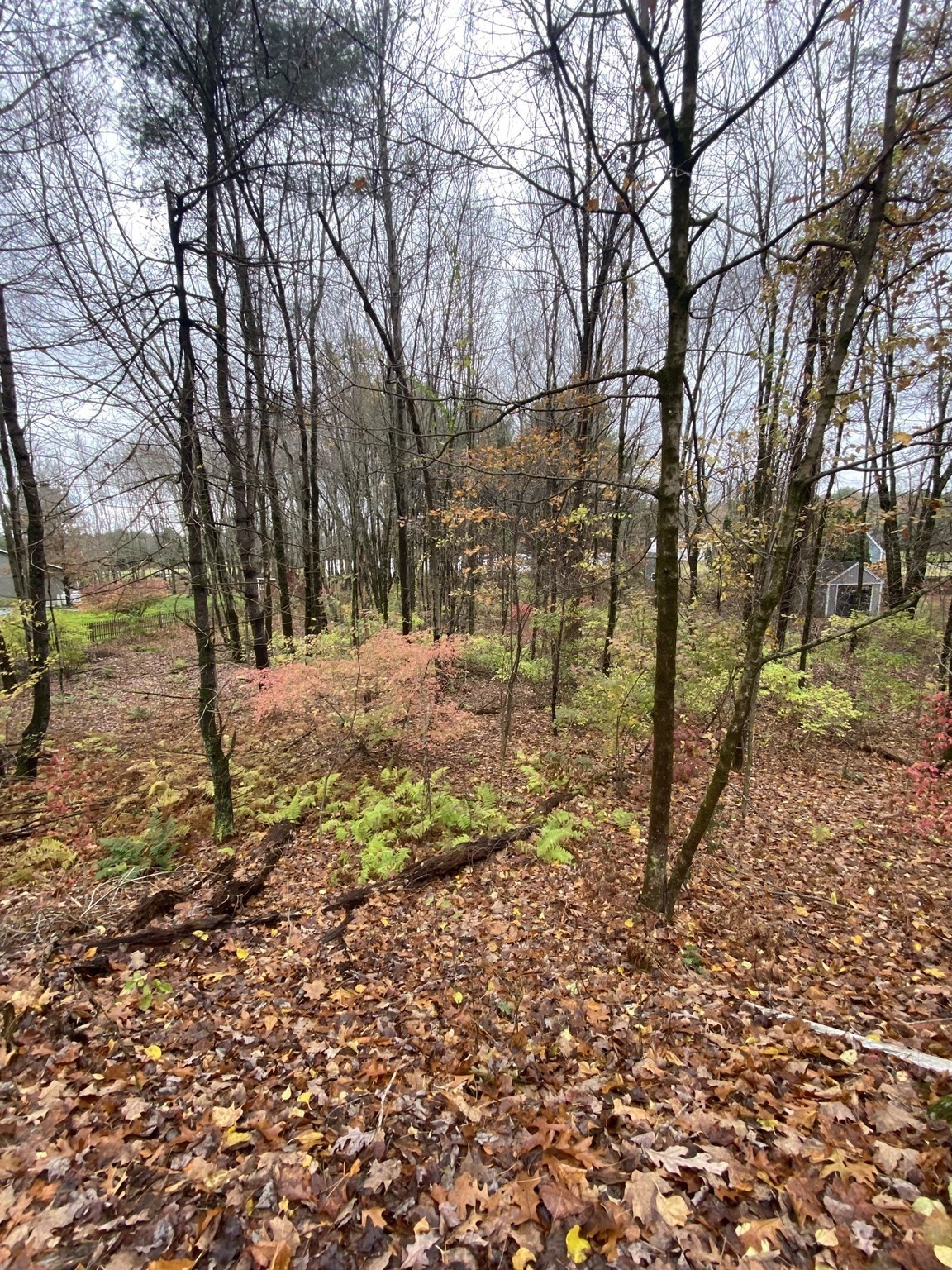 3057 Foster St, Palmer, MA 01069 - Image 3