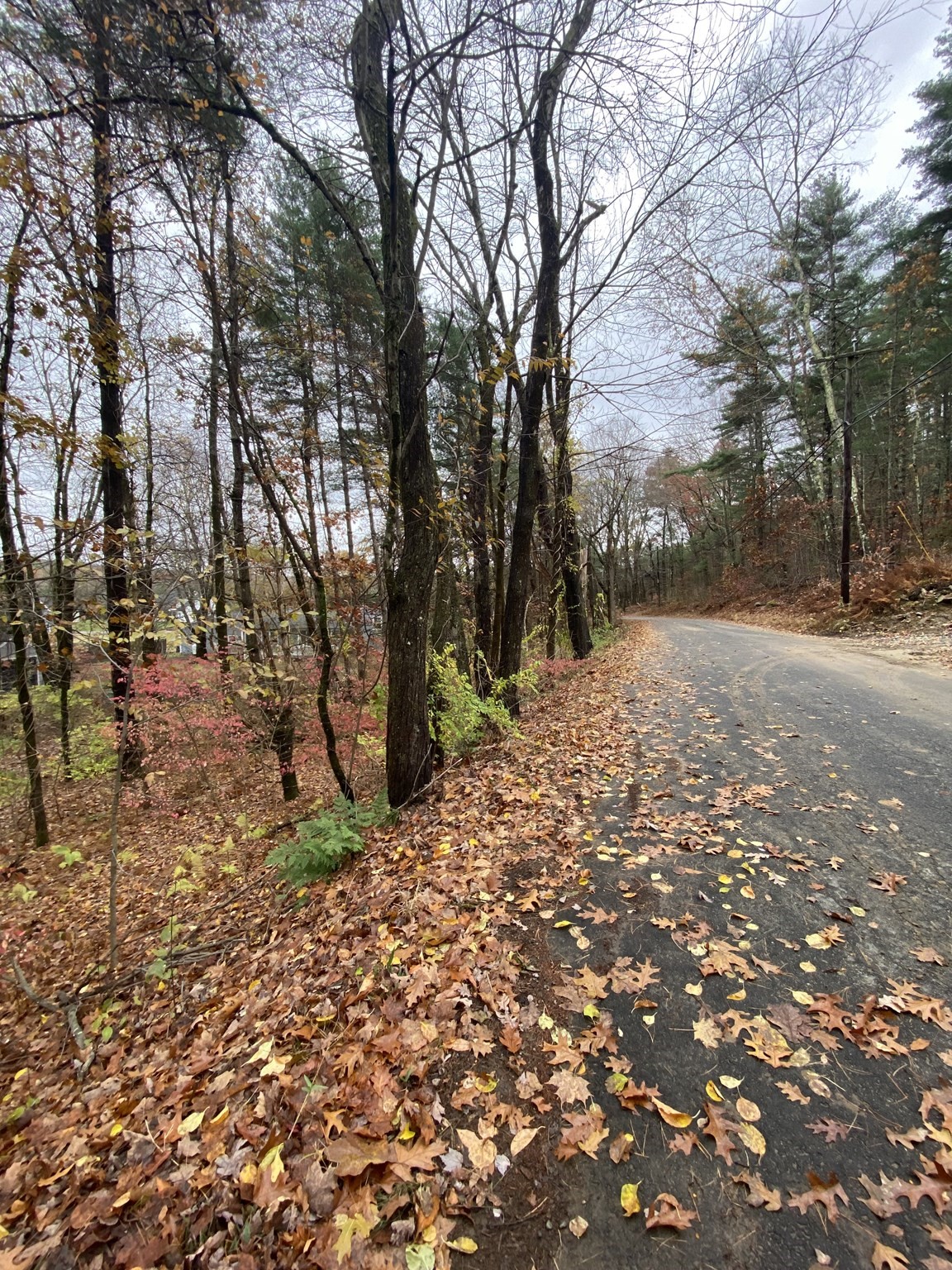 3057 Foster St, Palmer, MA 01069 - Image 4