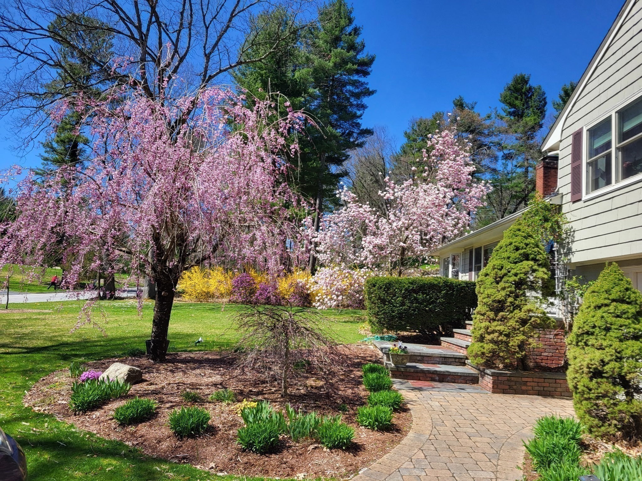 101 Bellevue Rd, Andover, MA 01810 - Image 36