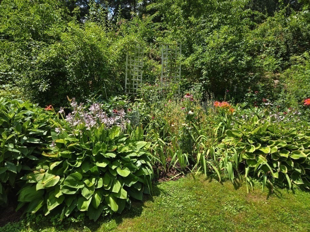 101 Bellevue Rd, Andover, MA 01810 - Image 38