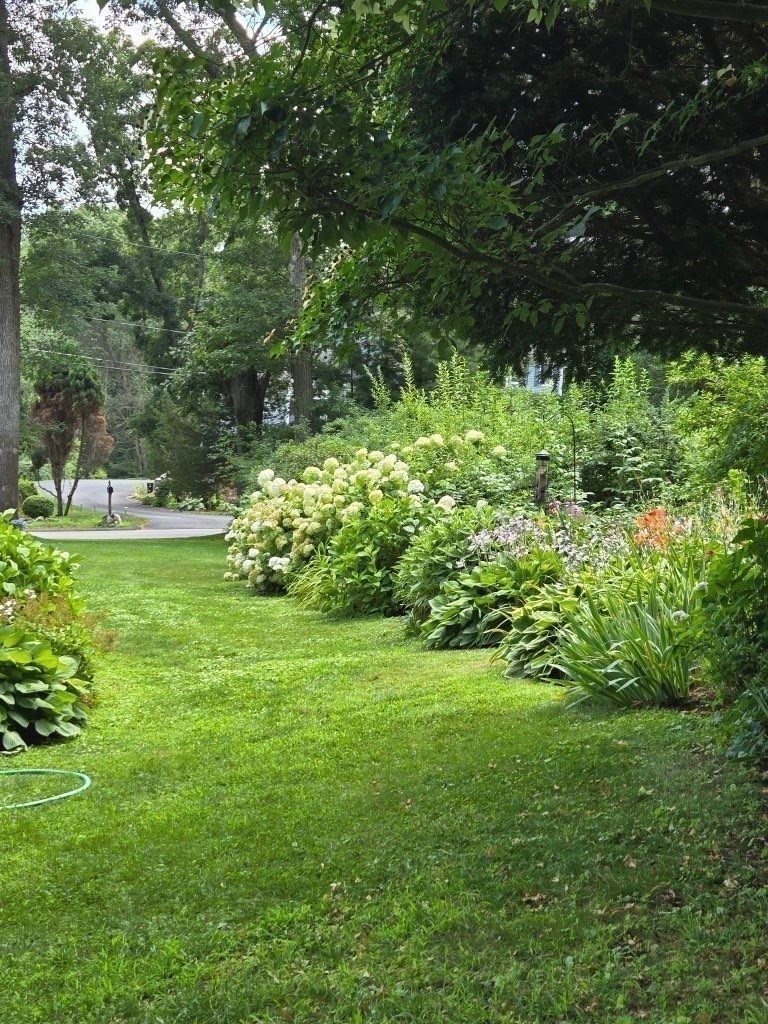 101 Bellevue Rd, Andover, MA 01810 - Image 39