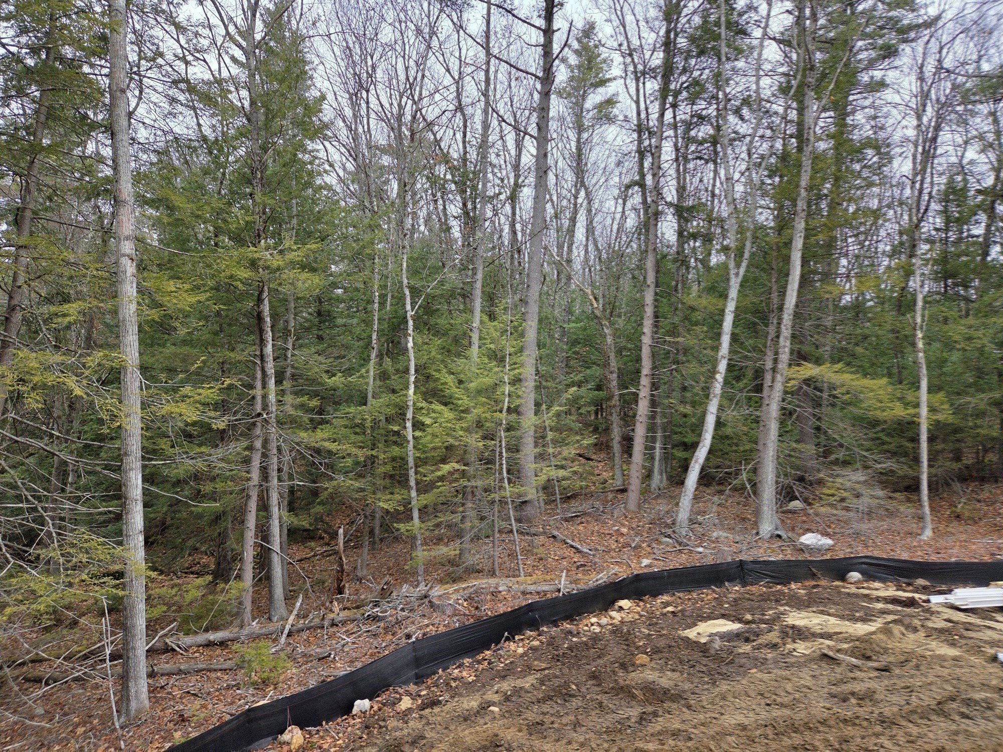 371 Hitchcock Road, Winchendon, MA 01475 - Image 17